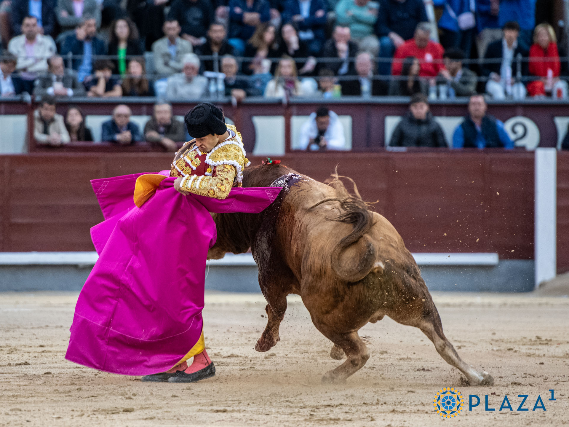 <p>Foto: Alfredo Arévalo / Plaza 1</p>