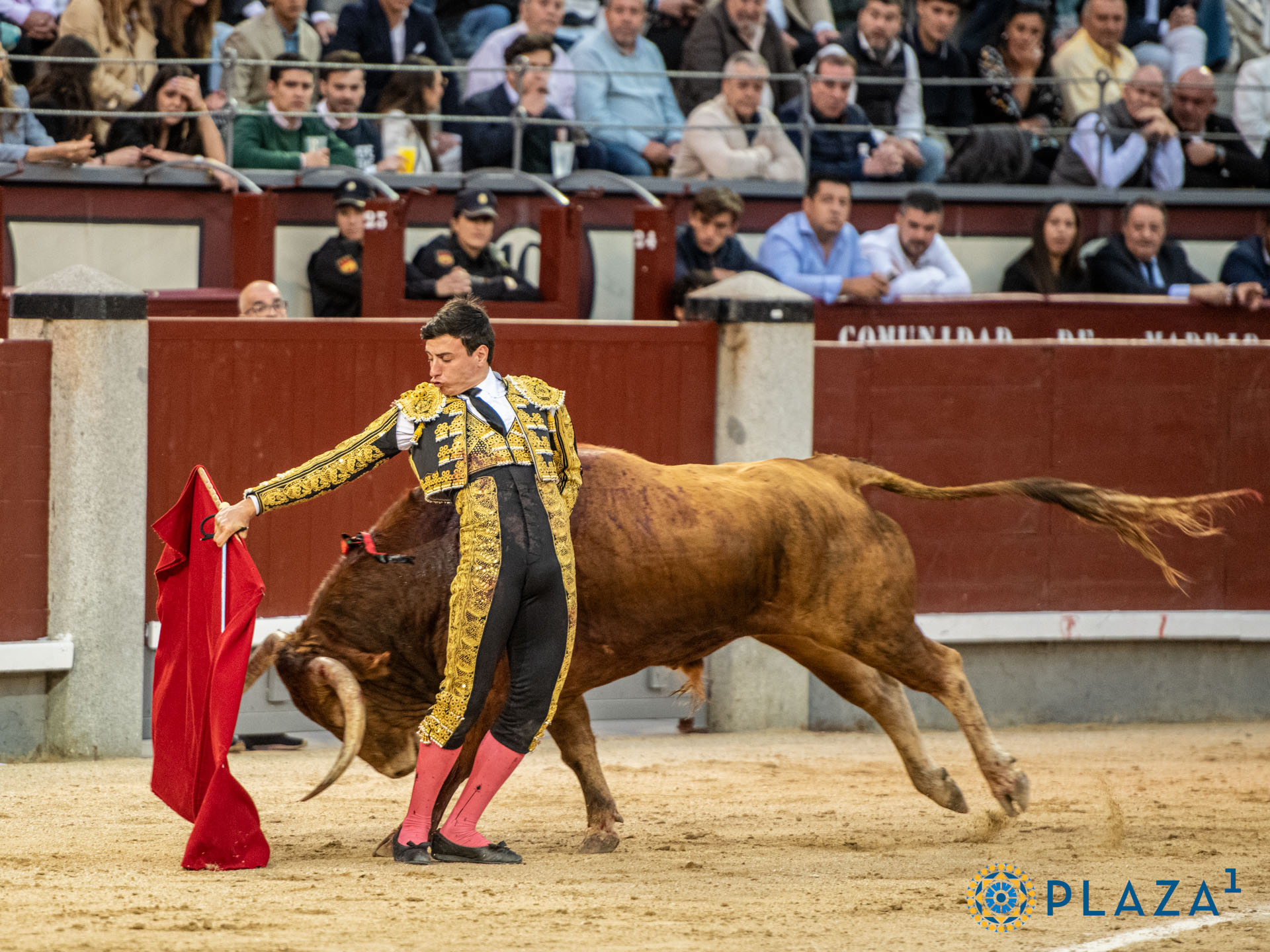 <p>Foto: Alfredo Arévalo / Plaza 1</p>