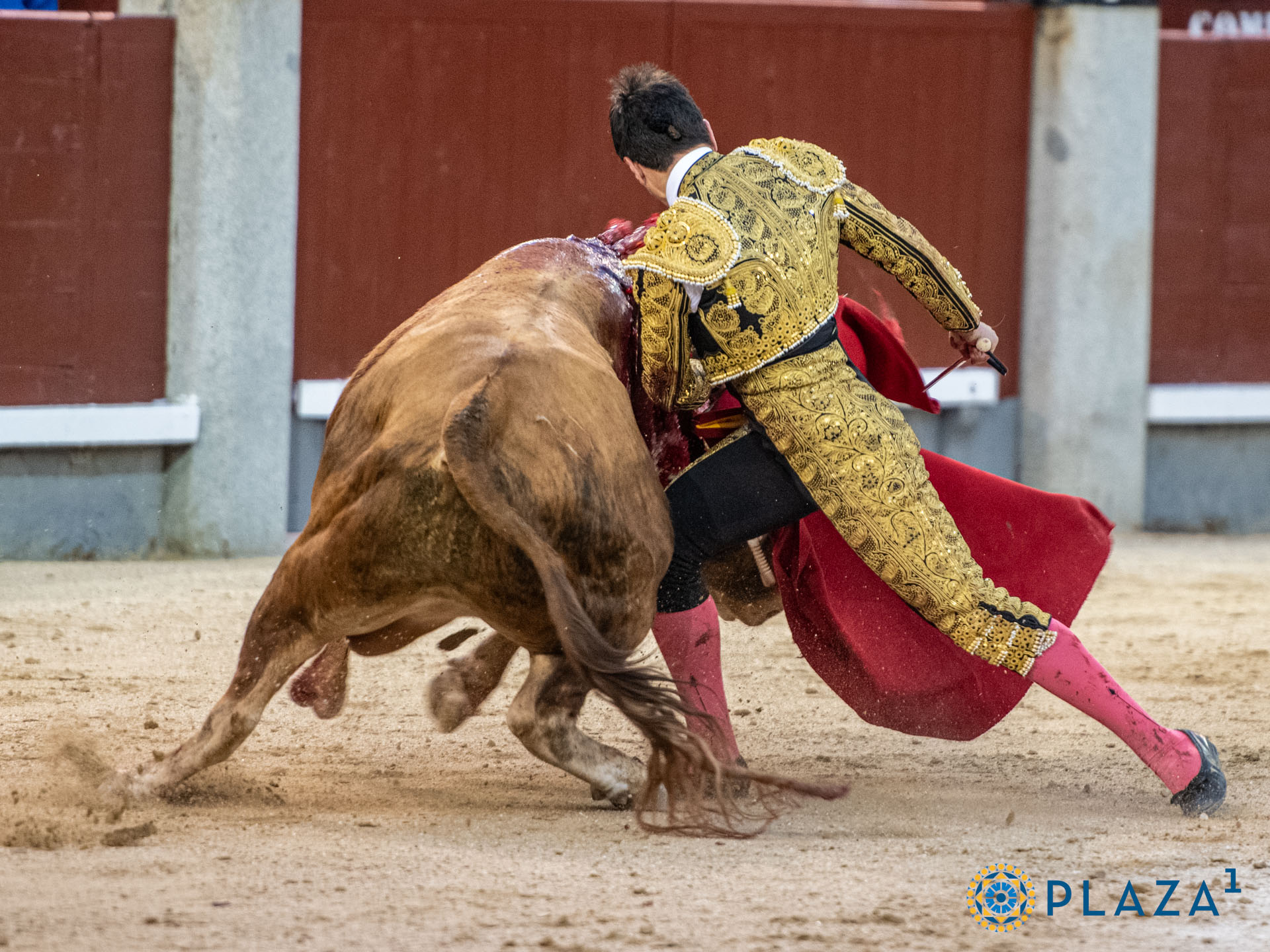 <p>Foto: Alfredo Arévalo / Plaza 1</p>