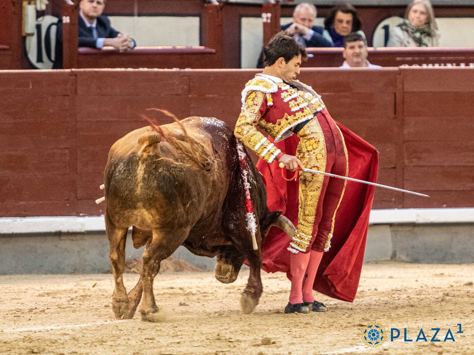 <p>Foto: Alfredo Arévalo / Plaza 1</p>