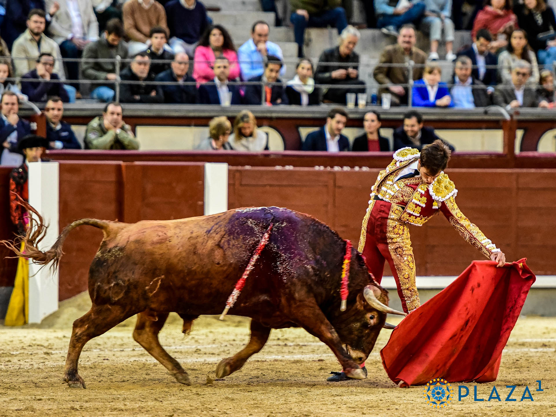 <p>Foto: Alfredo Arévalo / Plaza 1</p>