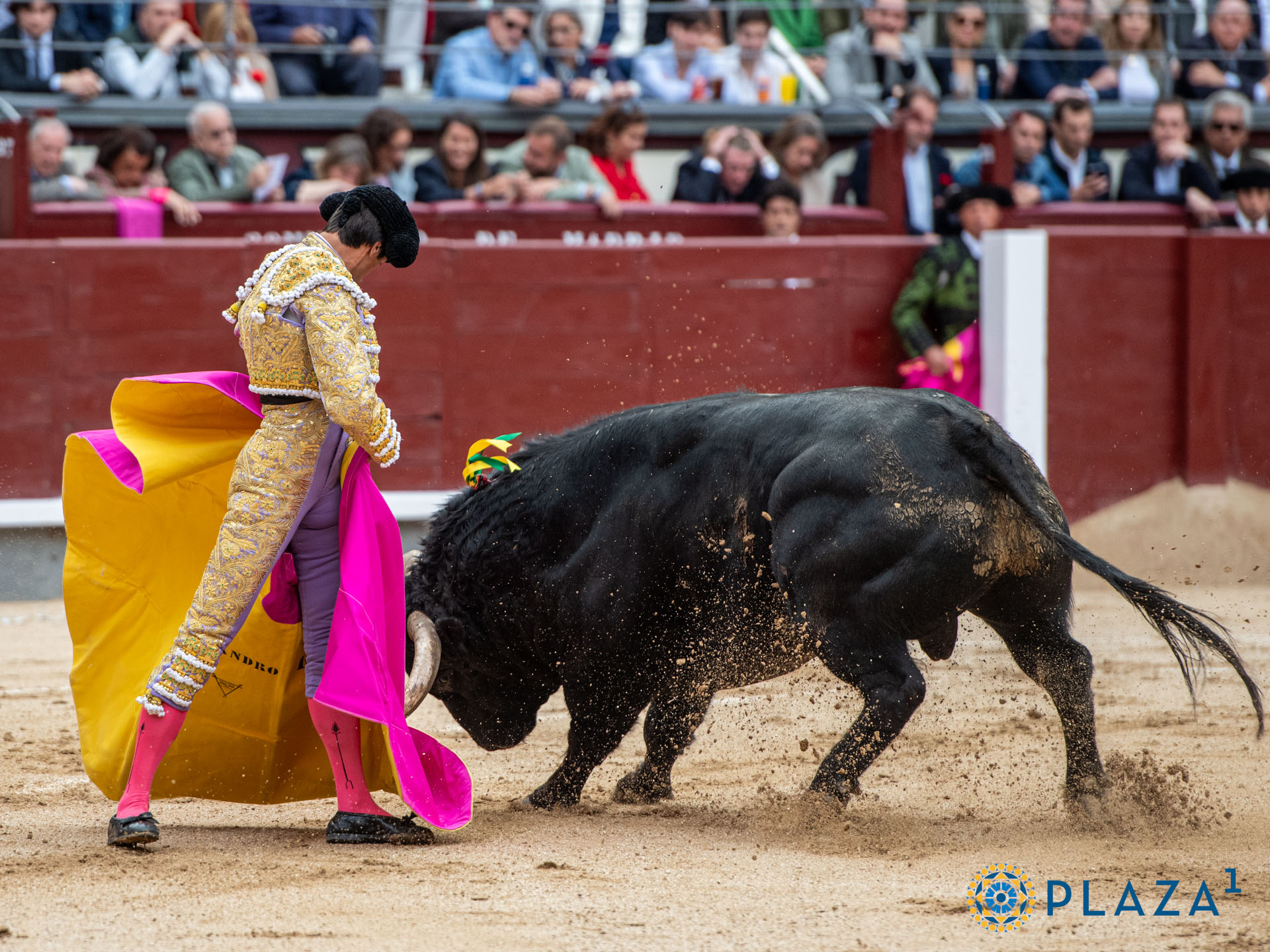 <p>Foto: Alfredo Arévalo / Plaza 1</p>