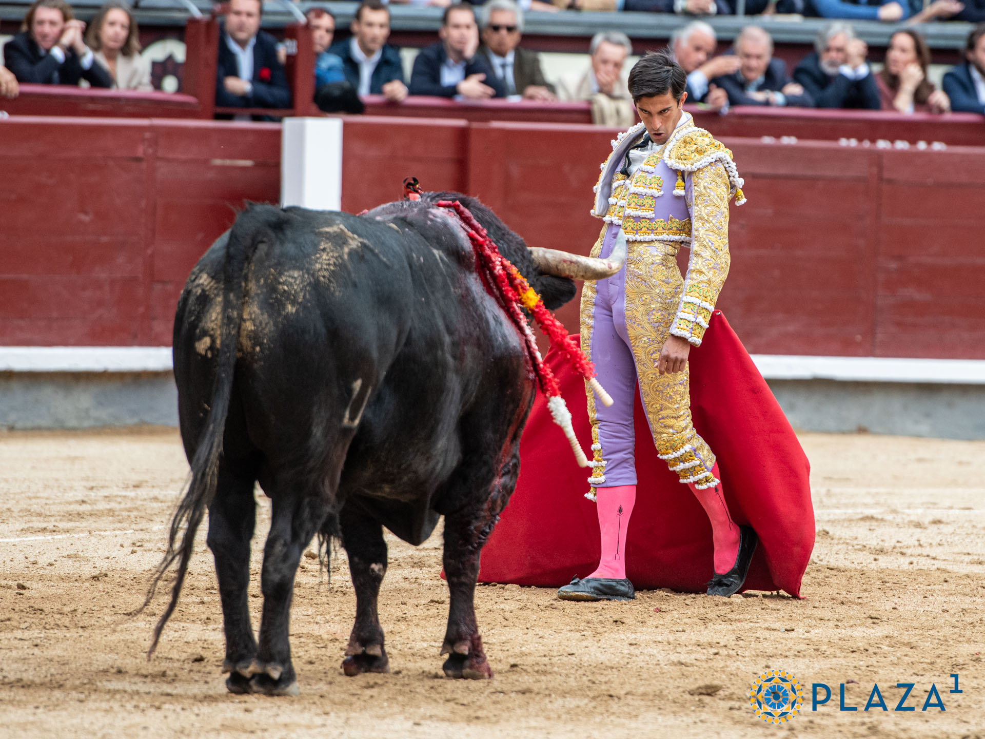 <p>Foto: Alfredo Arévalo / Plaza 1</p>