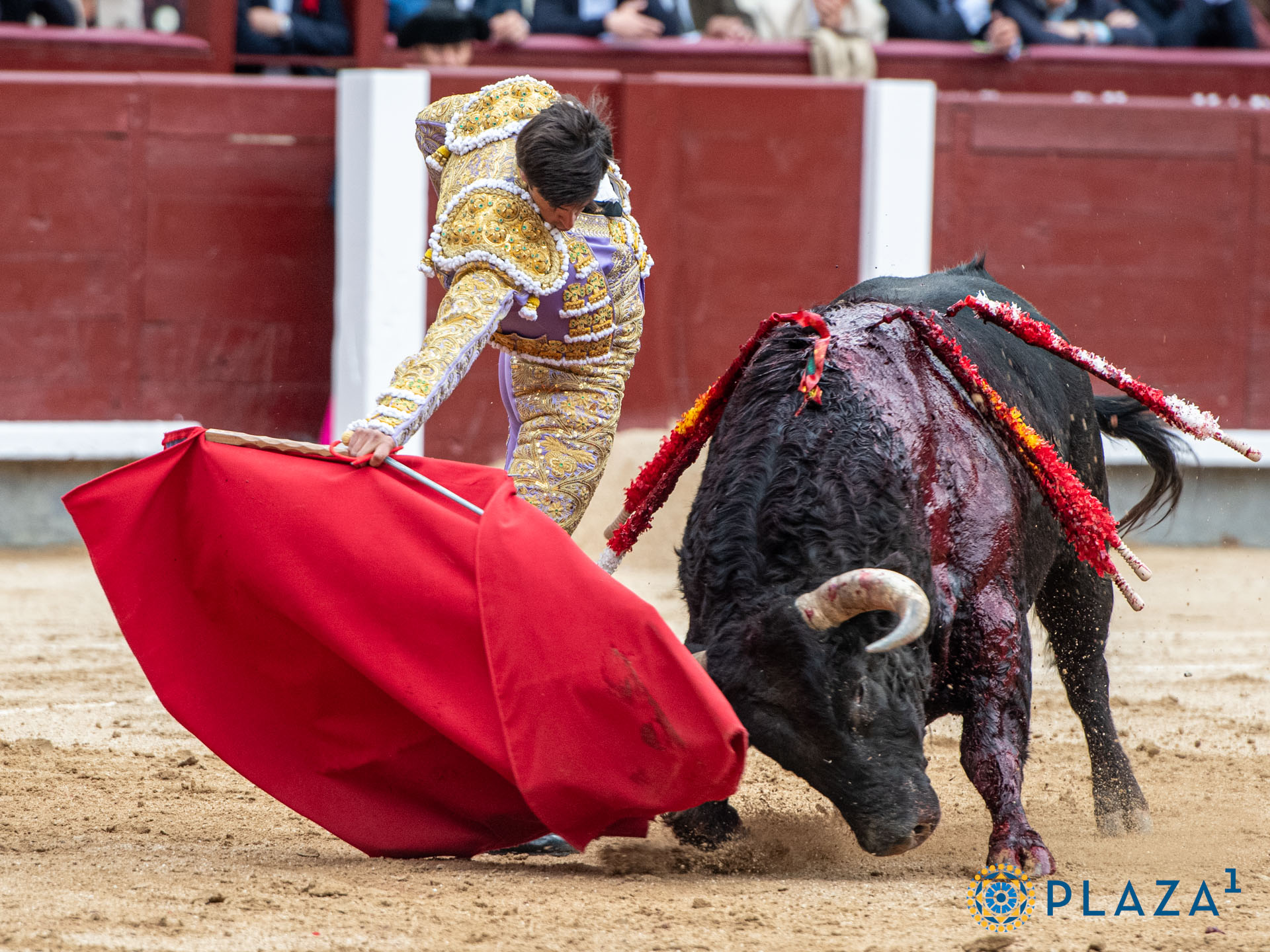 <p>Foto: Alfredo Arévalo / Plaza 1</p>
