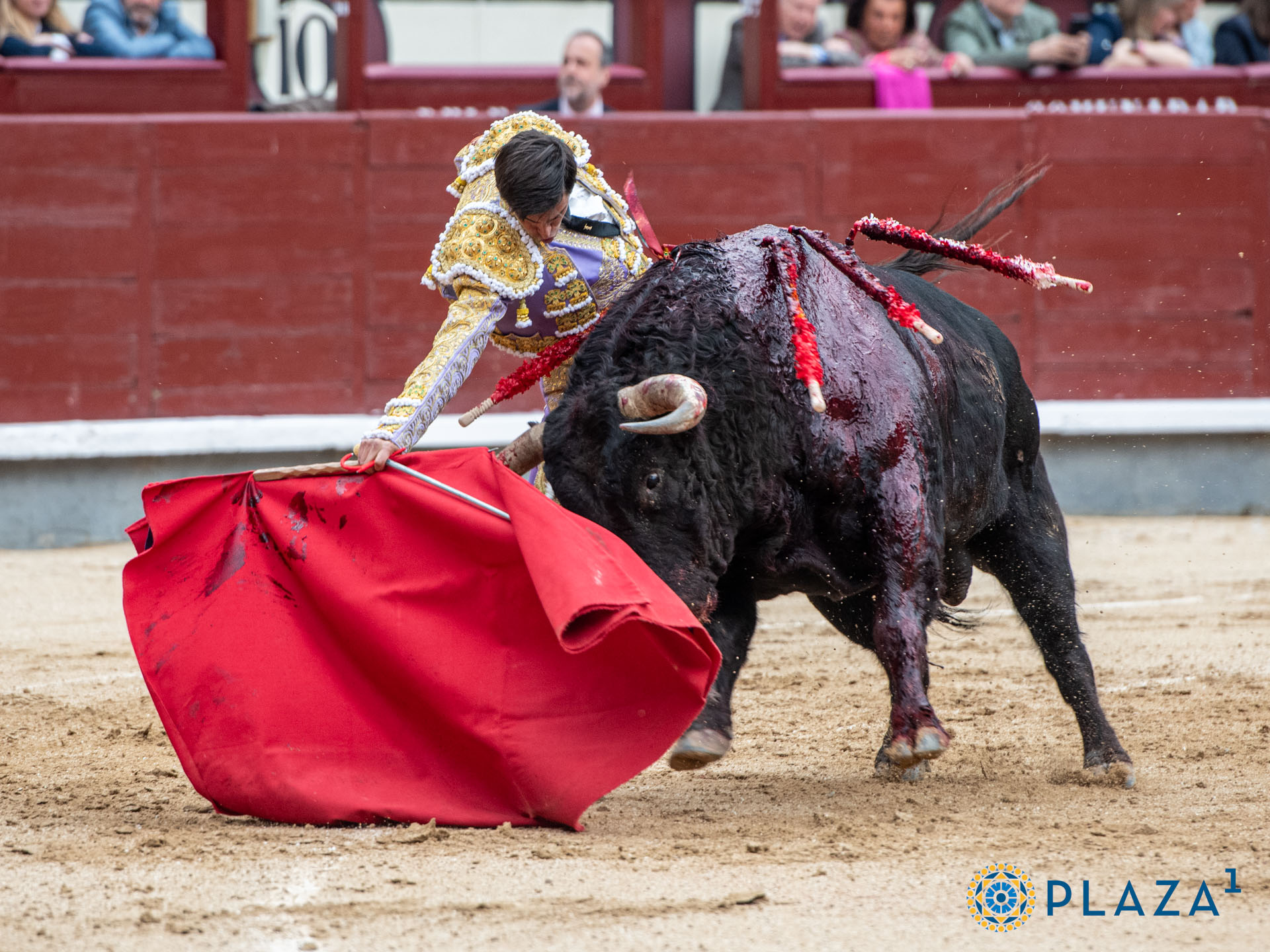 <p>Foto: Alfredo Arévalo / Plaza 1</p>