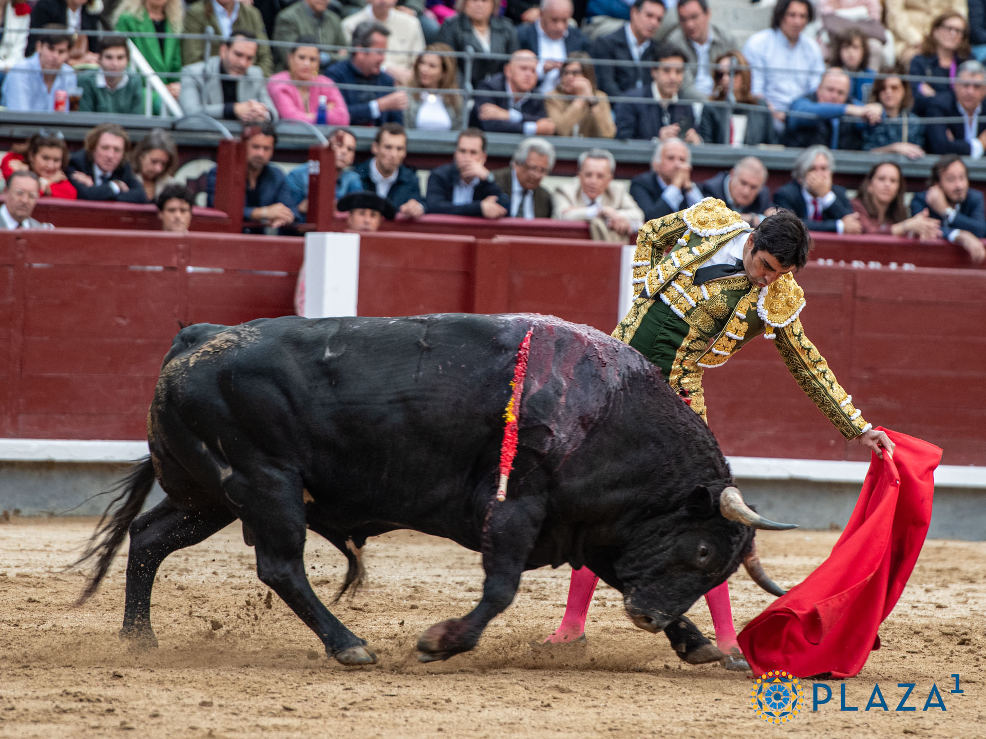 <p>Foto: Alfredo Arévalo / Plaza 1</p>