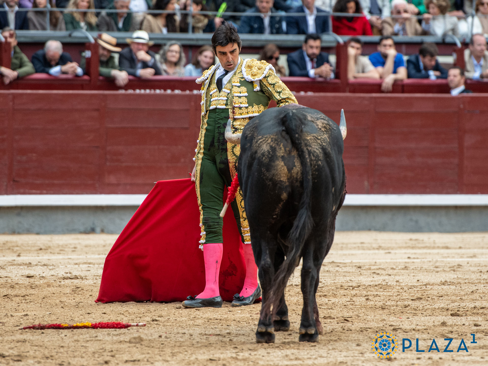 <p>Foto: Alfredo Arévalo / Plaza 1</p>