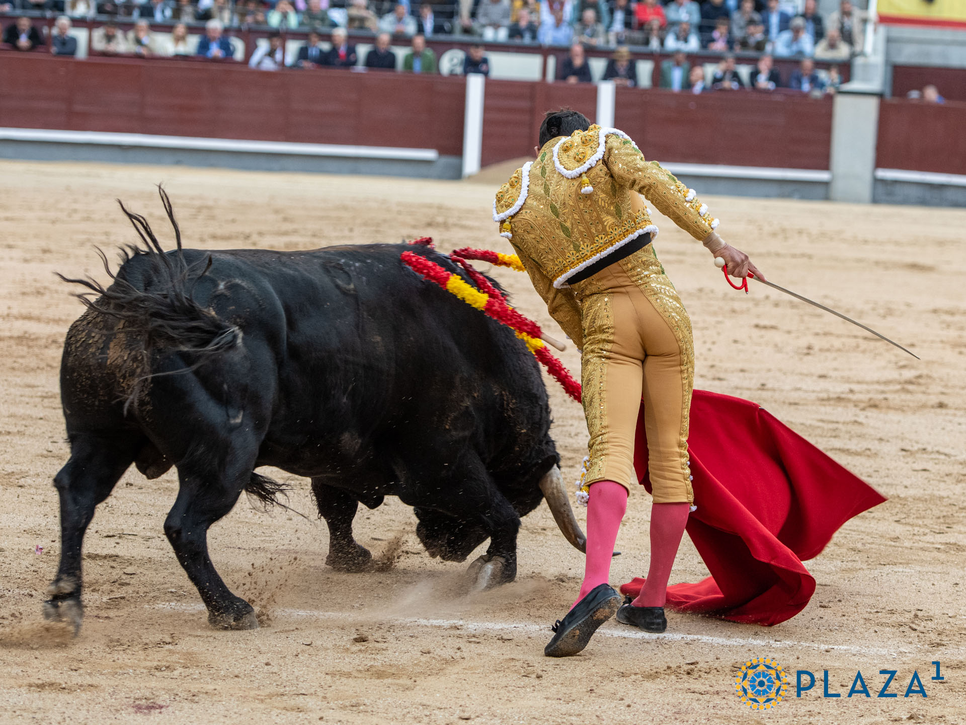 <p>Foto: Alfredo Arévalo / Plaza 1</p>