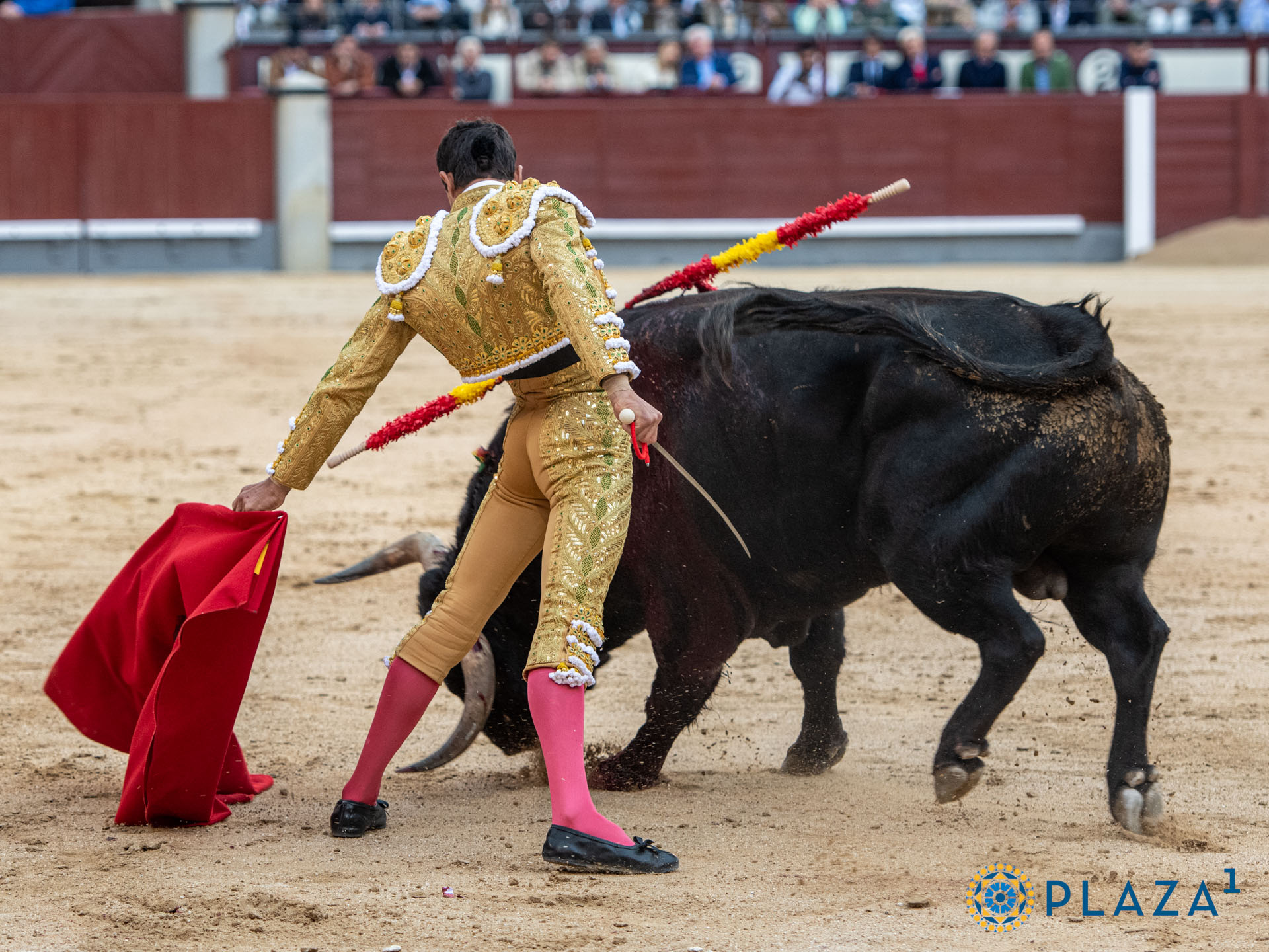 <p>Foto: Alfredo Arévalo / Plaza 1</p>