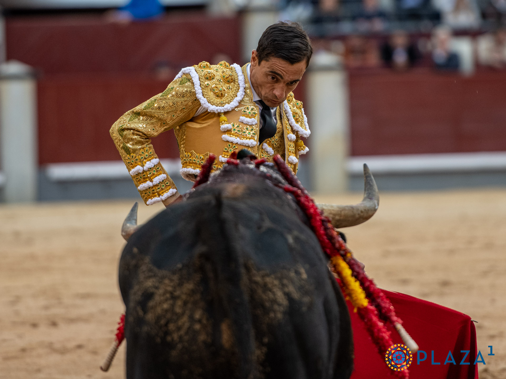 <p>Foto: Alfredo Arévalo / Plaza 1</p>