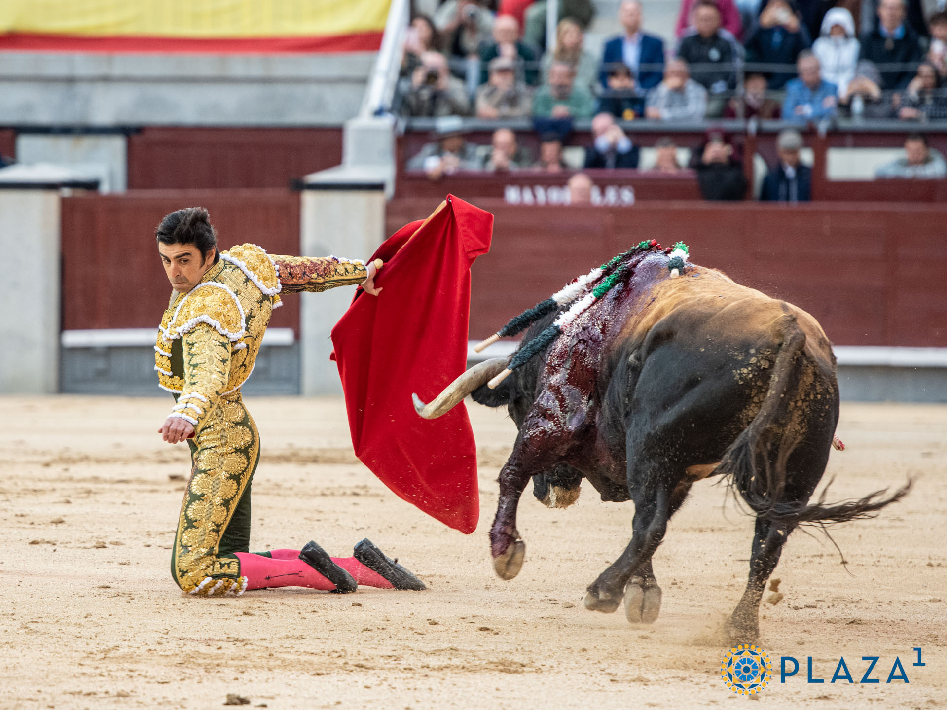 <p>Foto: Alfredo Arévalo / Plaza 1</p>