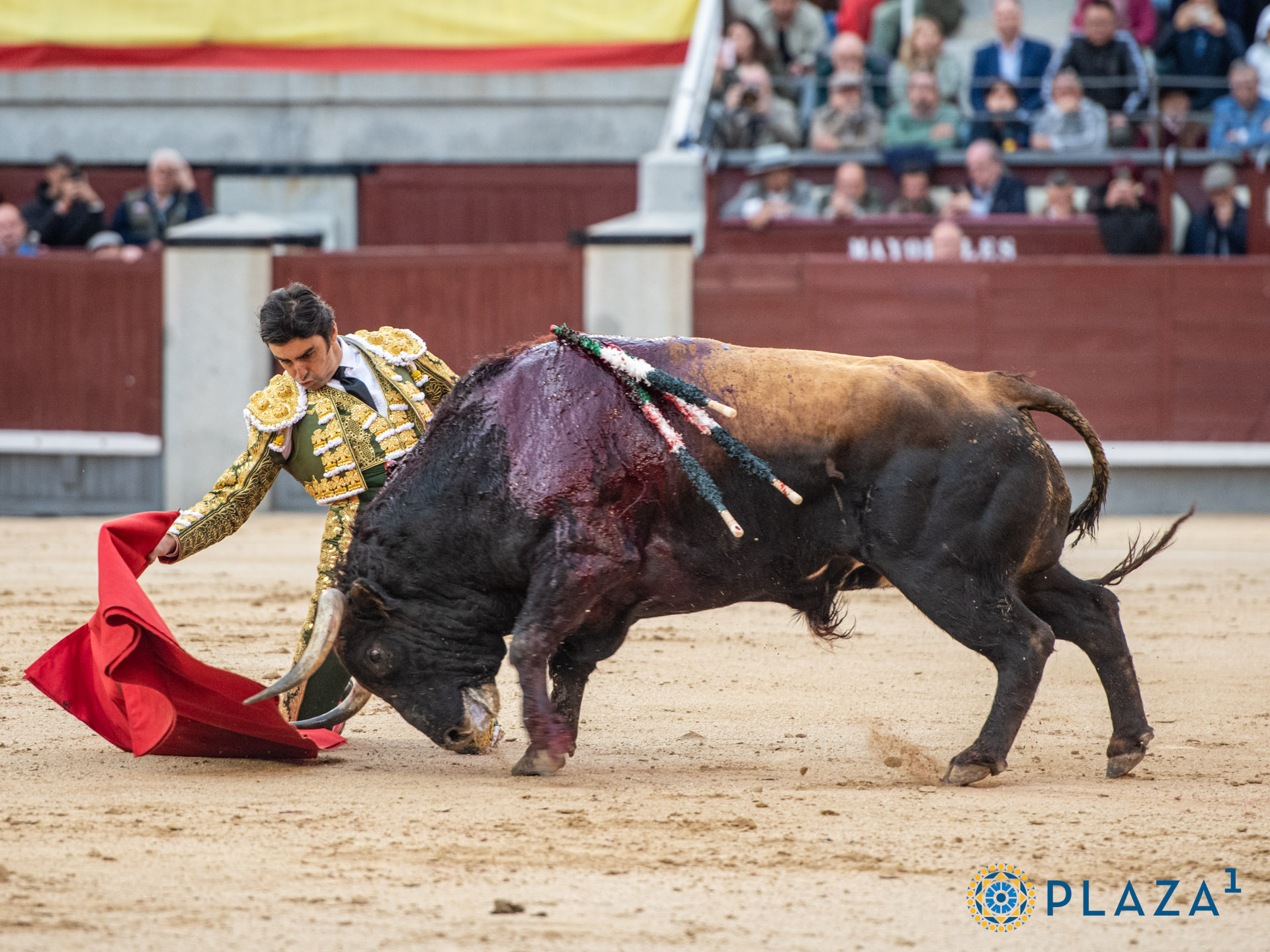 <p>Foto: Alfredo Arévalo / Plaza 1</p>