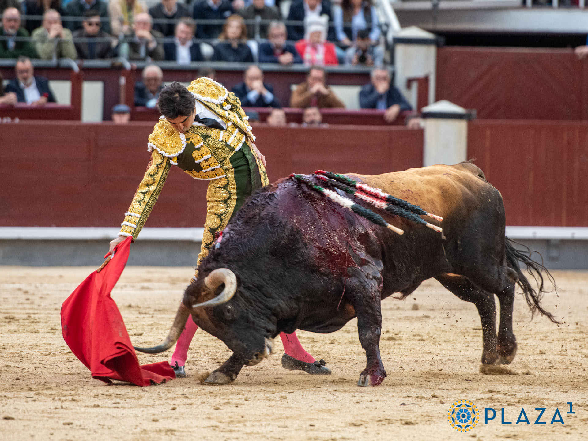 <p>Foto: Alfredo Arévalo / Plaza 1</p>