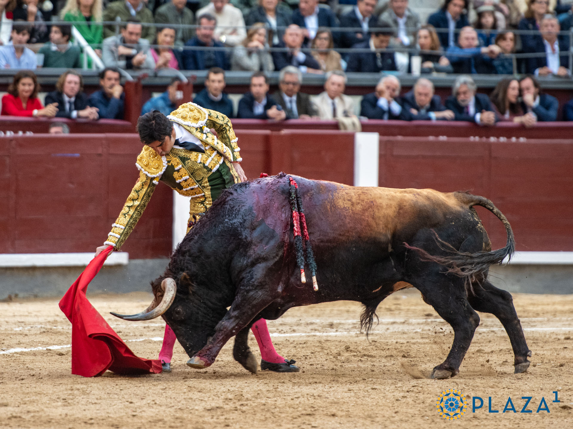 <p>Foto: Alfredo Arévalo / Plaza 1</p>