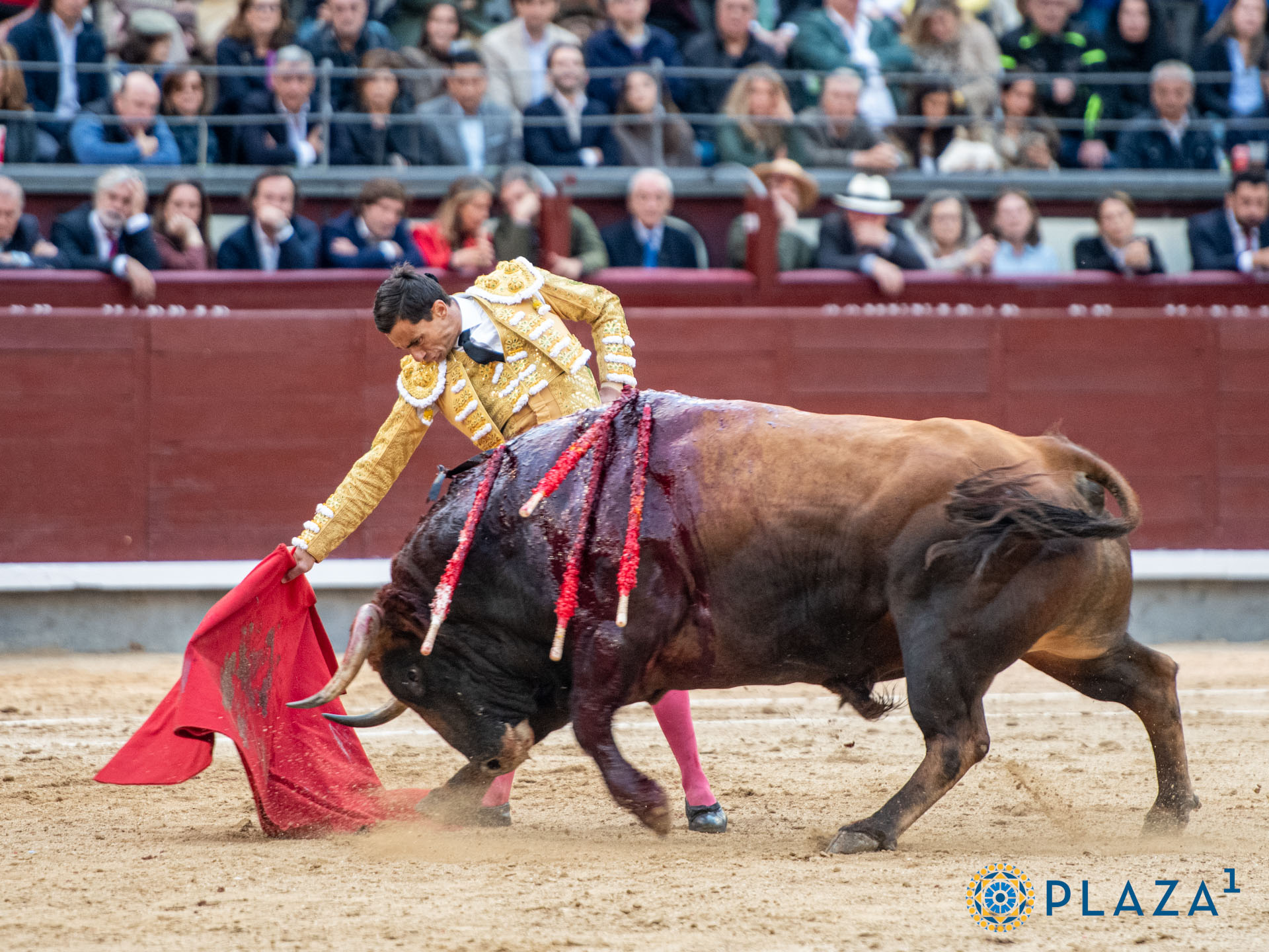 <p>Foto: Alfredo Arévalo / Plaza 1</p>