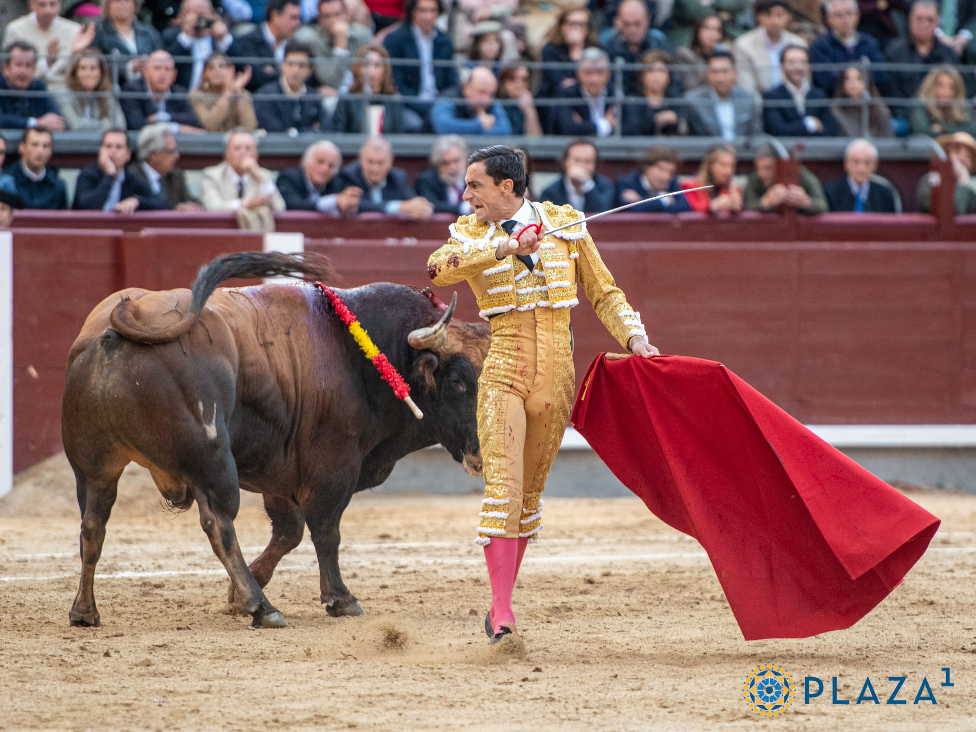 <p>Foto: Alfredo Arévalo / Plaza 1</p>