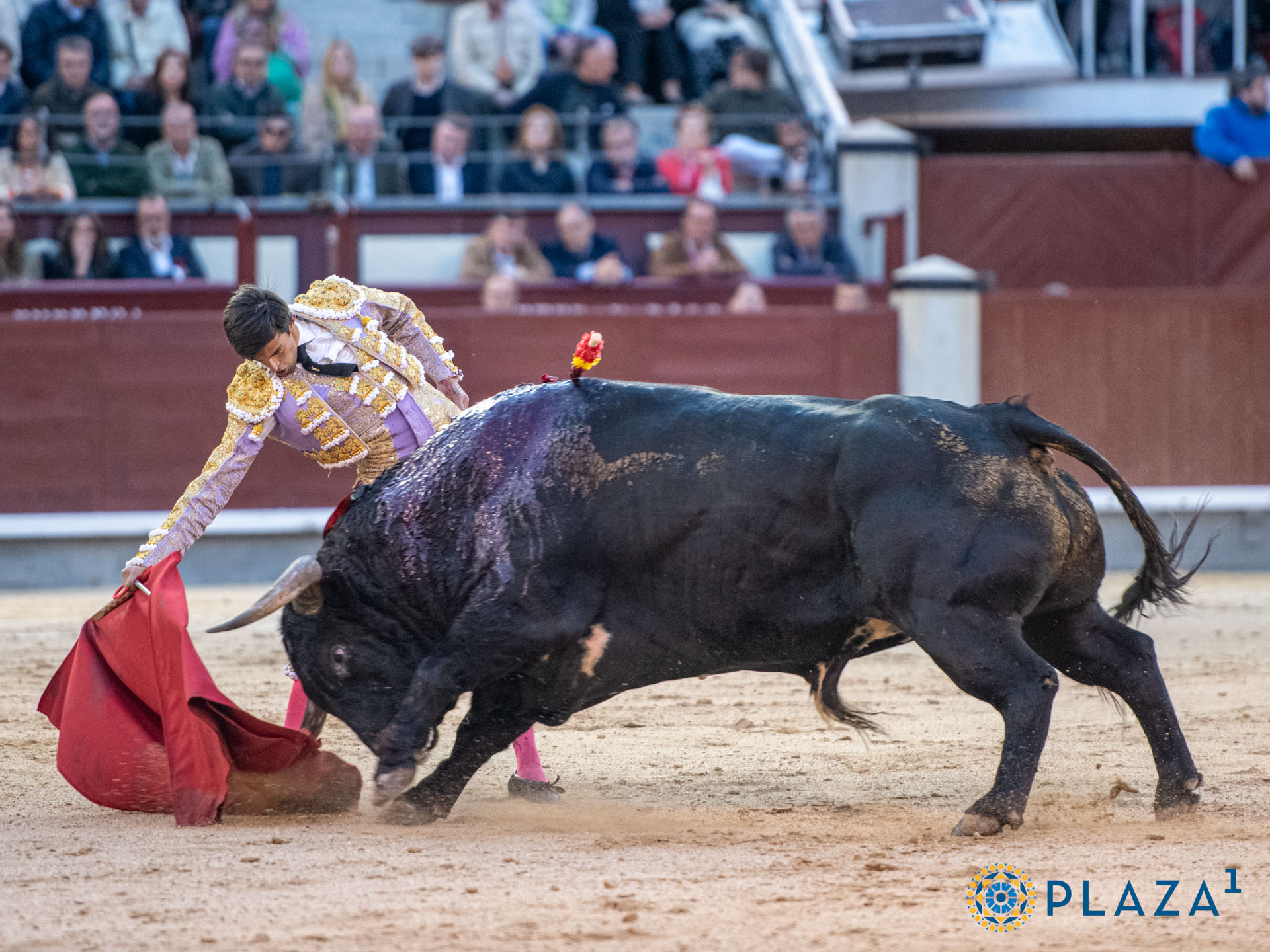 <p>Foto: Alfredo Arévalo / Plaza 1</p>