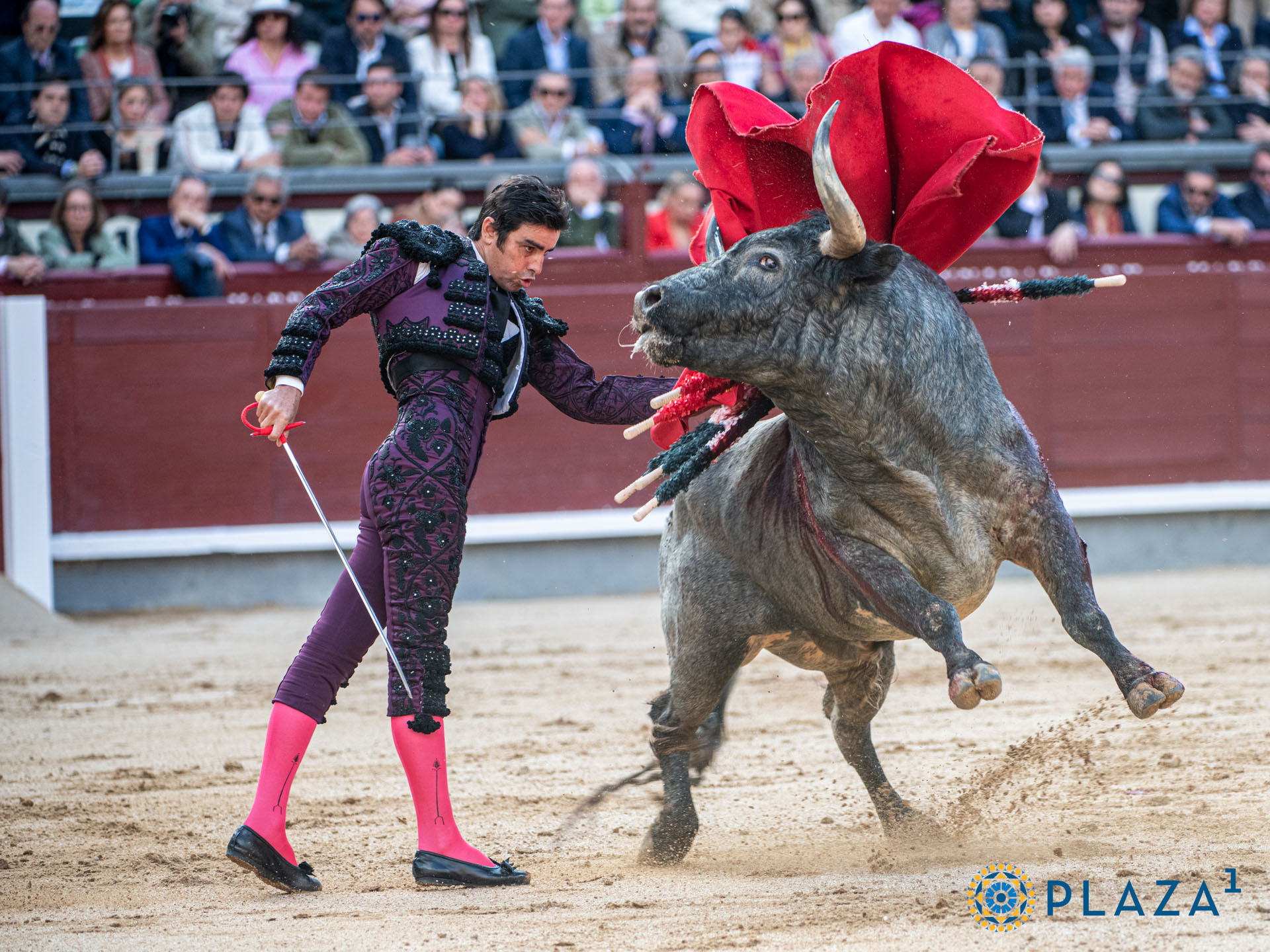 <p><span>Foto: Alfredo Arévalo / Plaza 1</span></p>