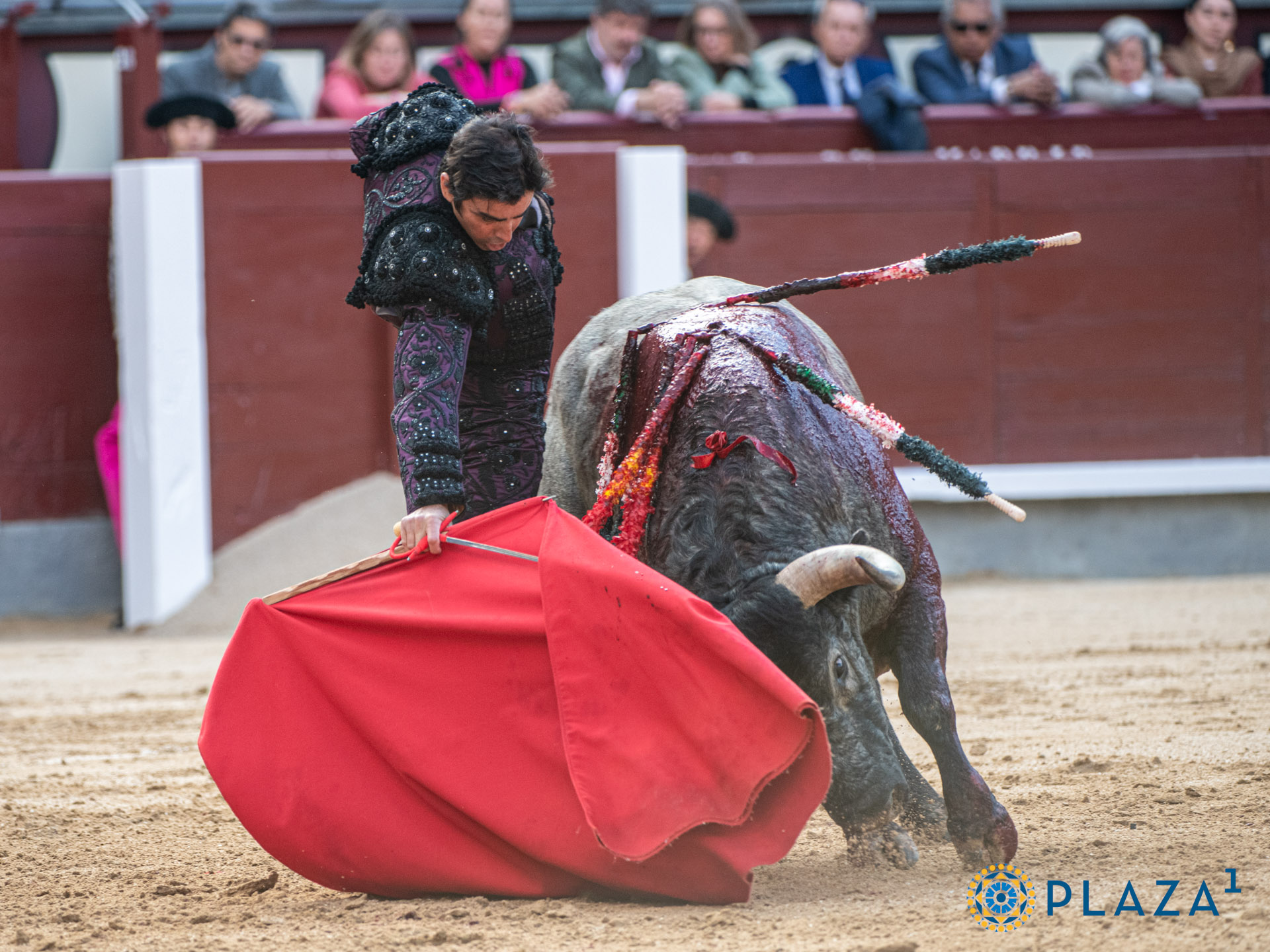 <p><span>Foto: Alfredo Arévalo / Plaza 1</span></p>