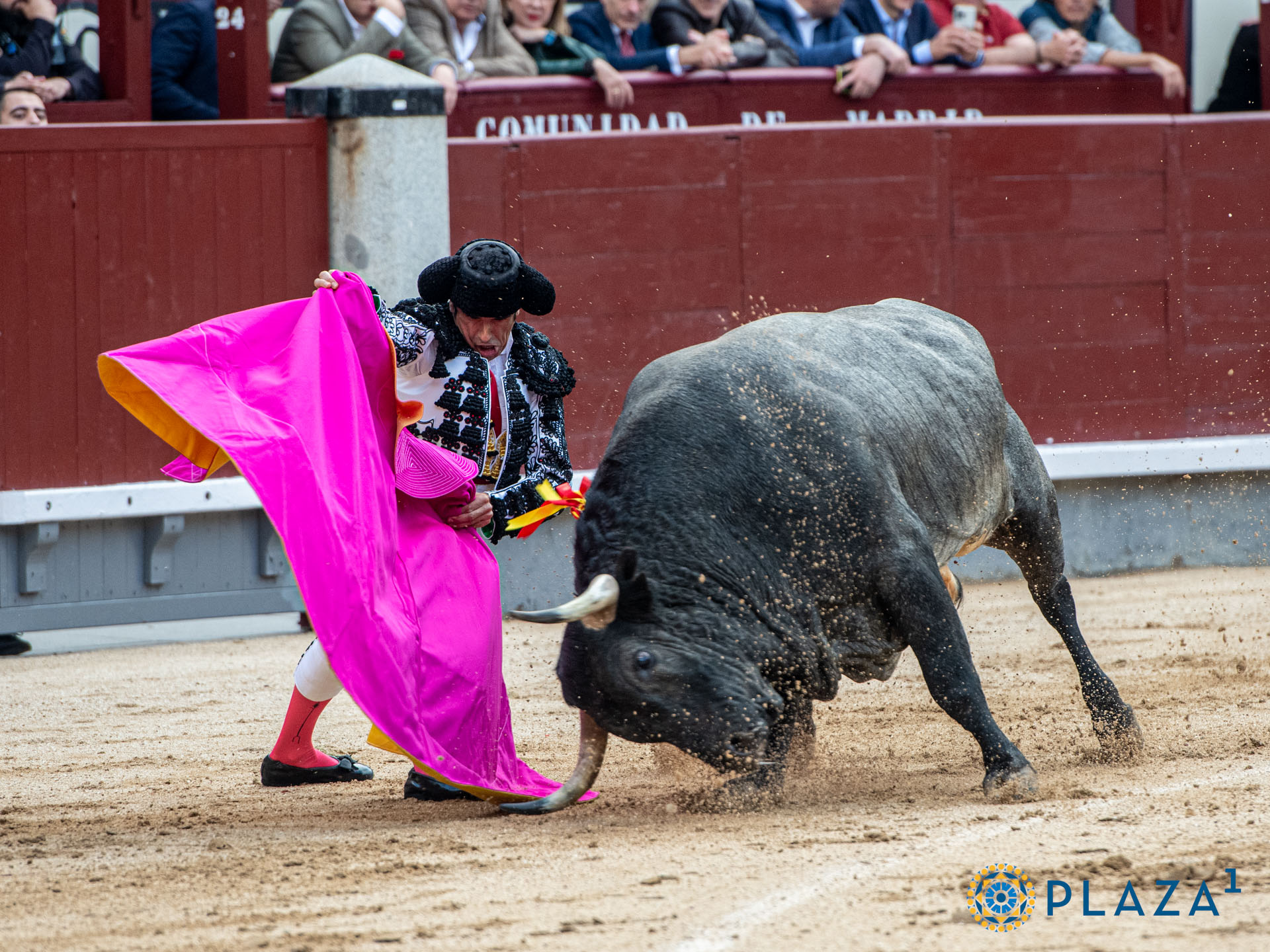 <p><span>Foto: Alfredo Arévalo / Plaza 1</span></p>