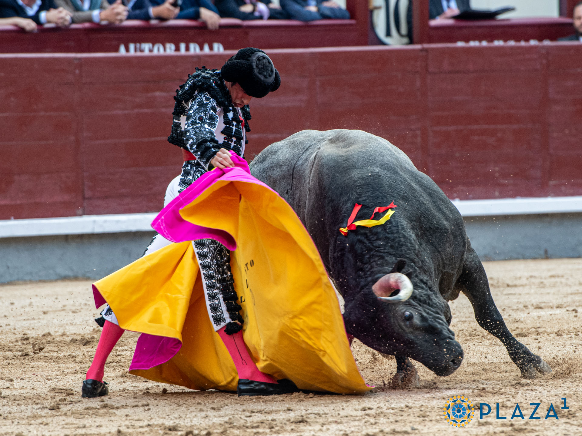 <p><span>Foto: Alfredo Arévalo / Plaza 1</span></p>