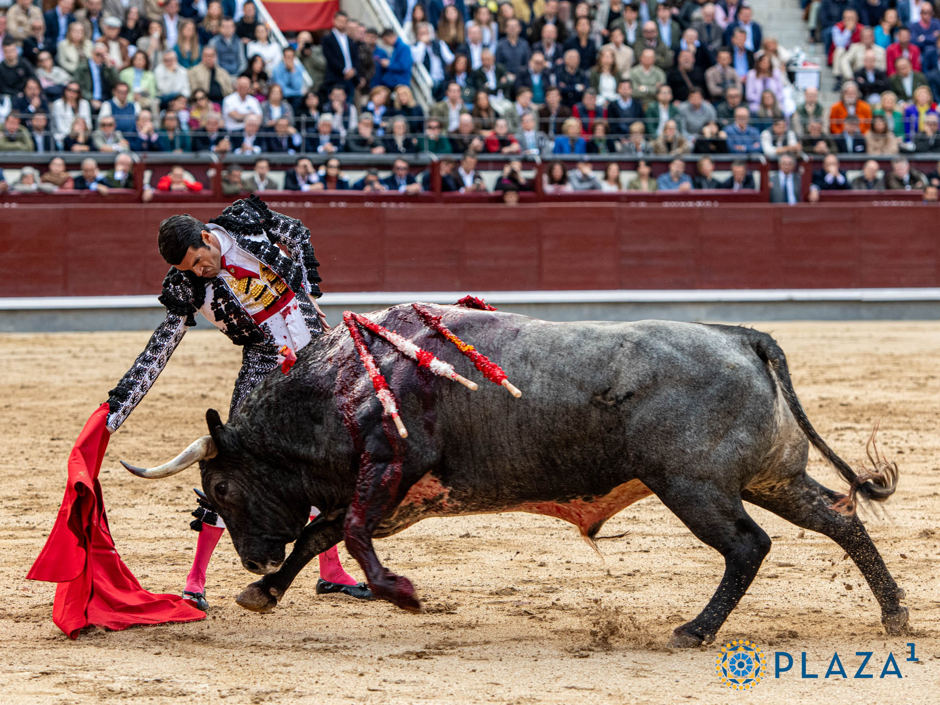 <p><span>Foto: Alfredo Arévalo / Plaza 1</span></p>