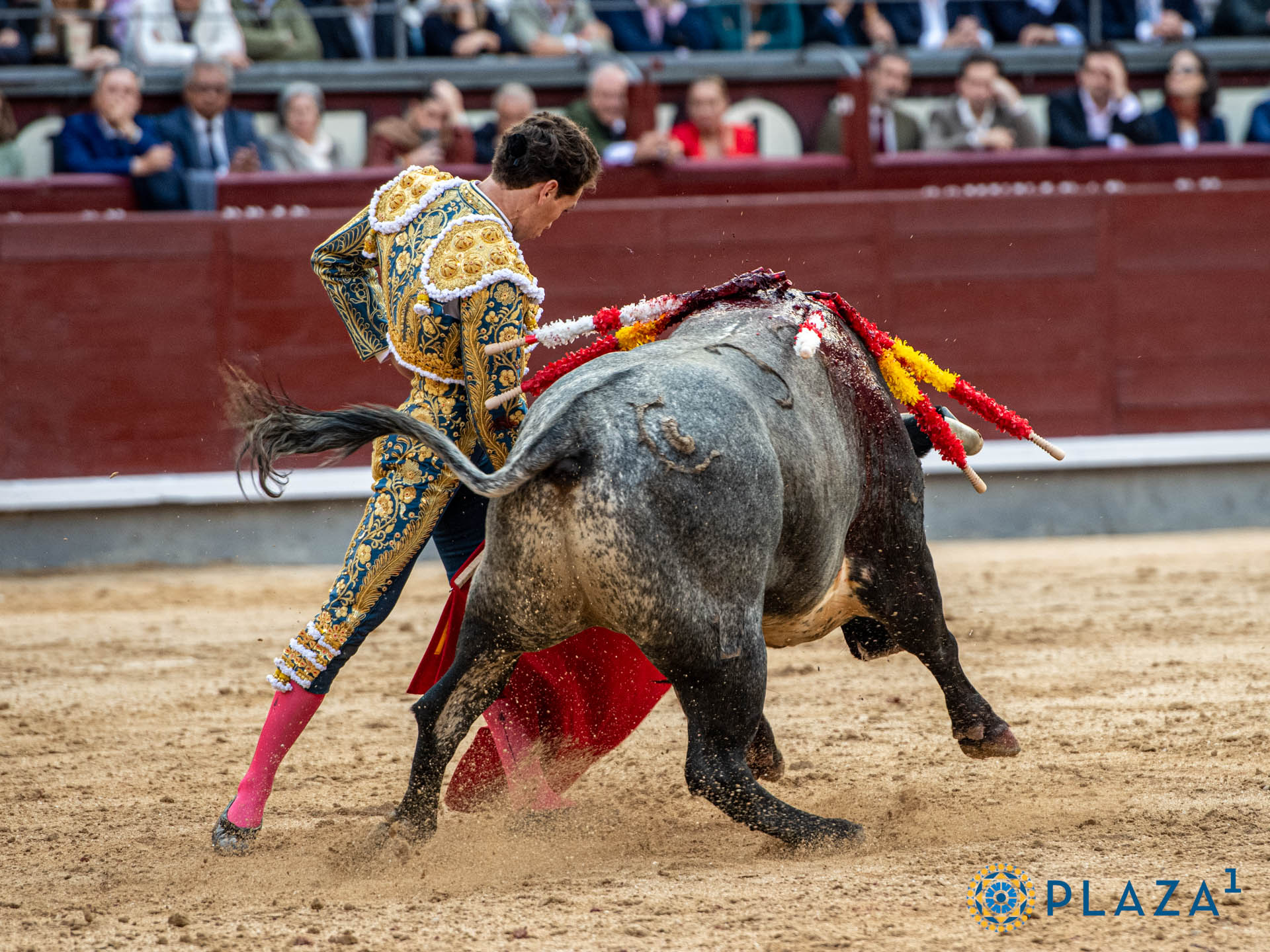 <p><span>Foto: Alfredo Arévalo / Plaza 1</span></p>