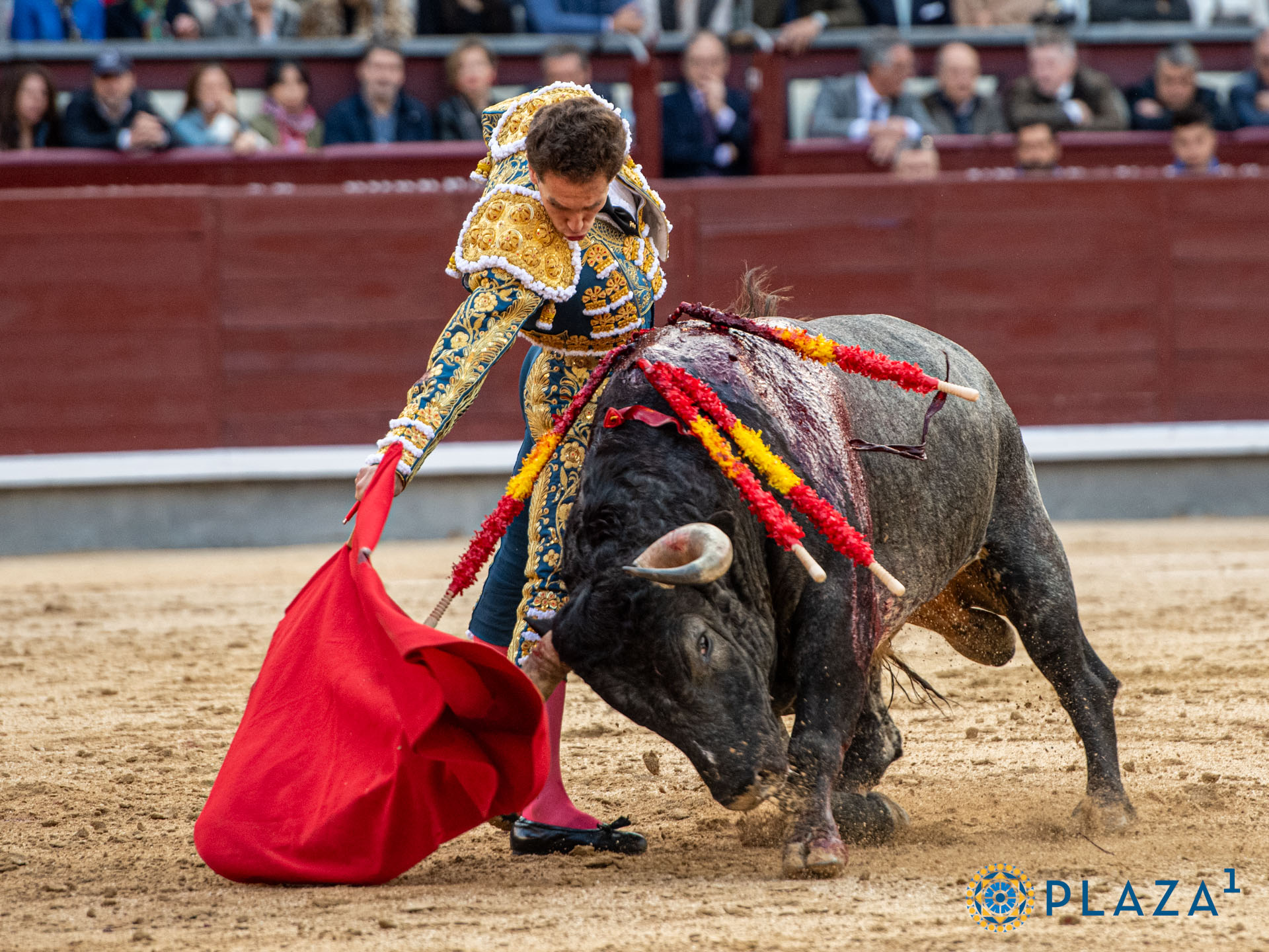 <p><span>Foto: Alfredo Arévalo / Plaza 1</span></p>