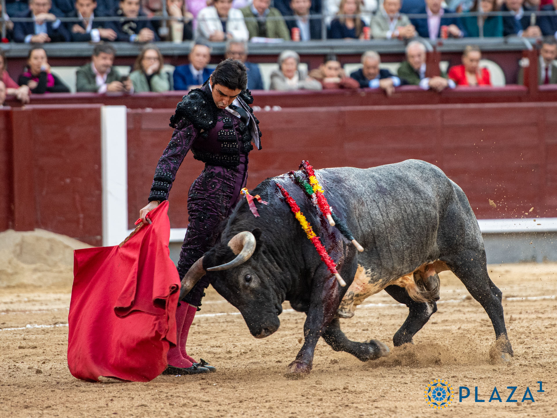 <p><span>Foto: Alfredo Arévalo / Plaza 1</span></p>