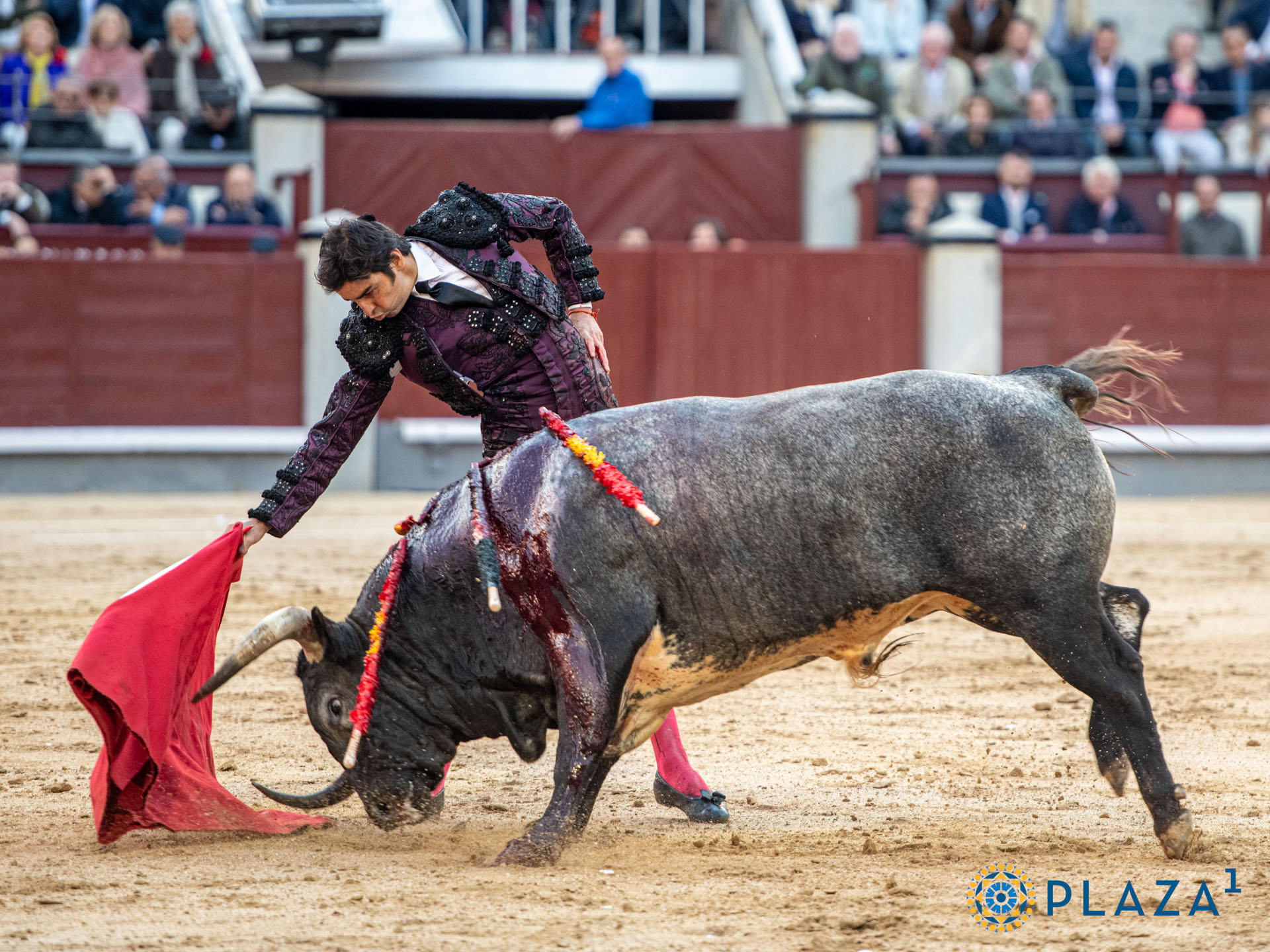 <p><span>Foto: Alfredo Arévalo / Plaza 1</span></p>