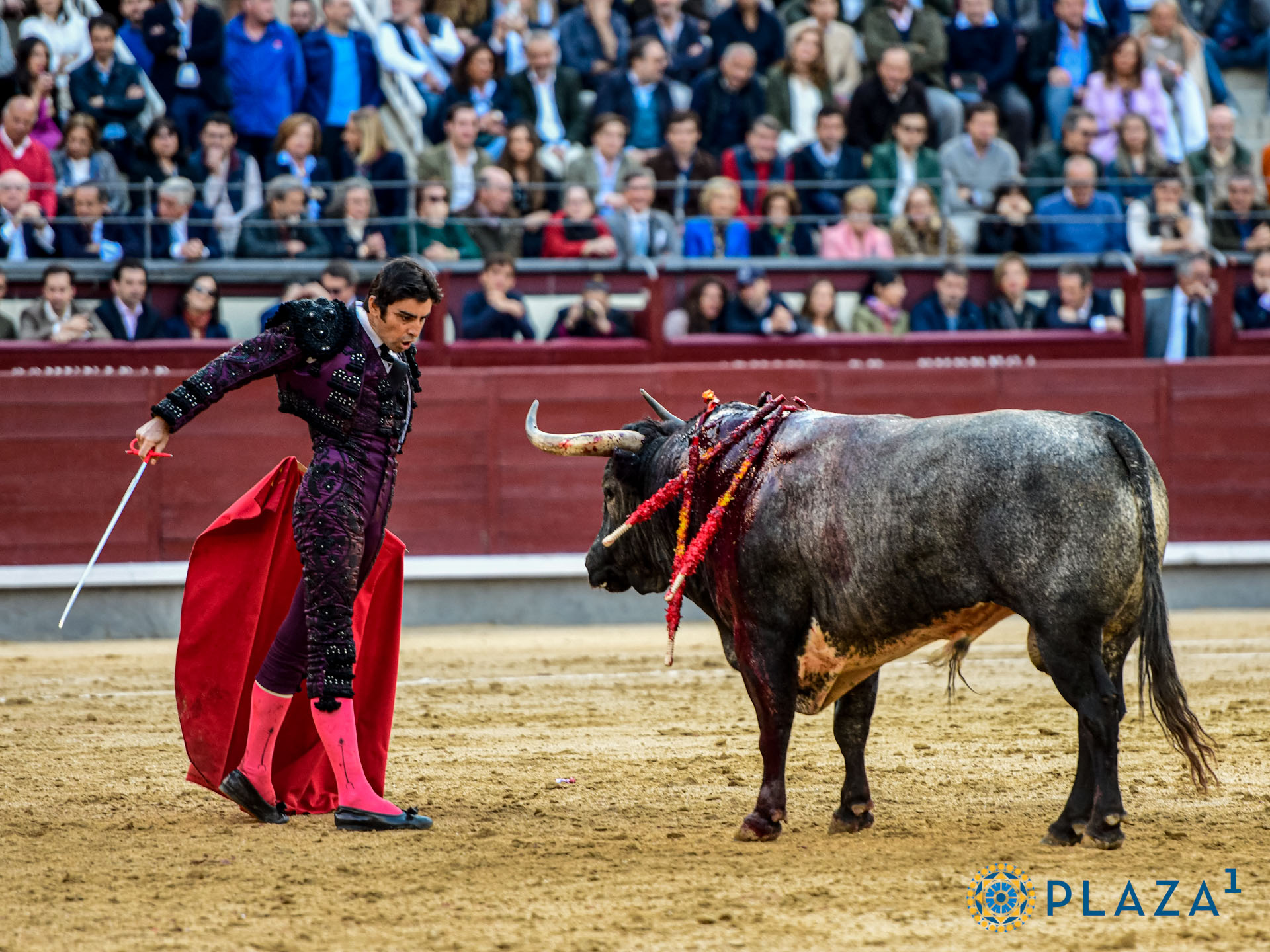 <p><span>Foto: Alfredo Arévalo / Plaza 1</span></p>