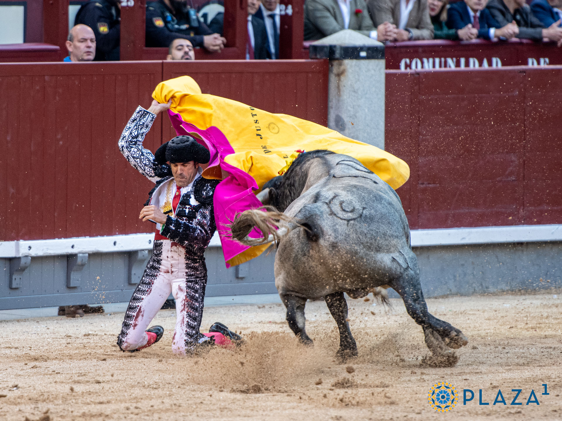 <p><span>Foto: Alfredo Arévalo / Plaza 1</span></p>