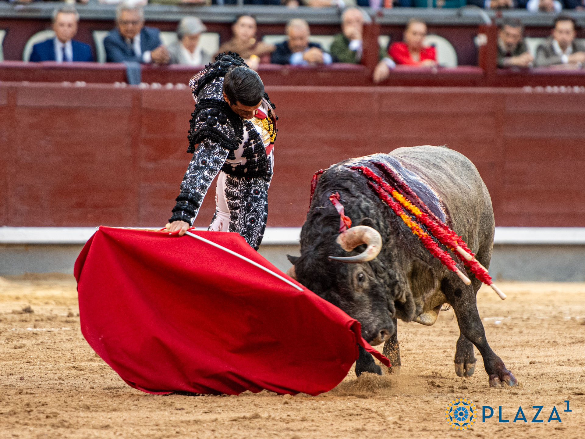 <p><span>Foto: Alfredo Arévalo / Plaza 1</span></p>