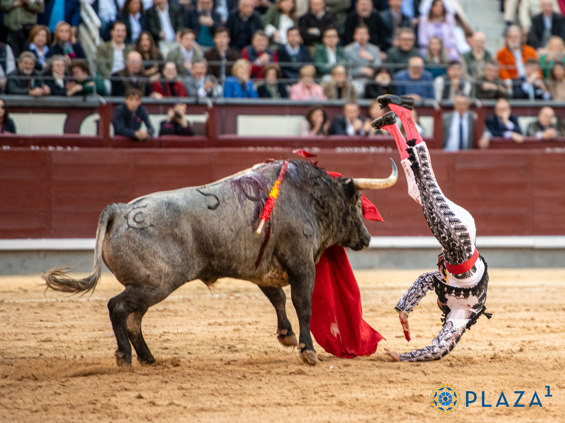 <p><span>Foto: Alfredo Arévalo / Plaza 1</span></p>