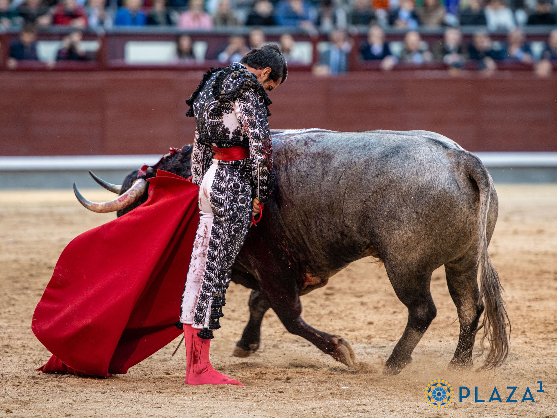 <p><span>Foto: Alfredo Arévalo / Plaza 1</span></p>