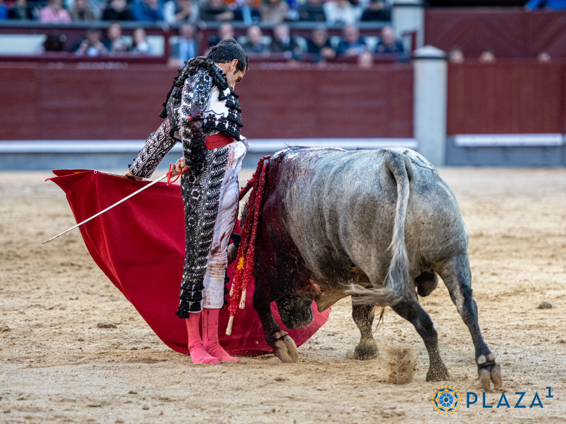<p><span>Foto: Alfredo Arévalo / Plaza 1</span></p>