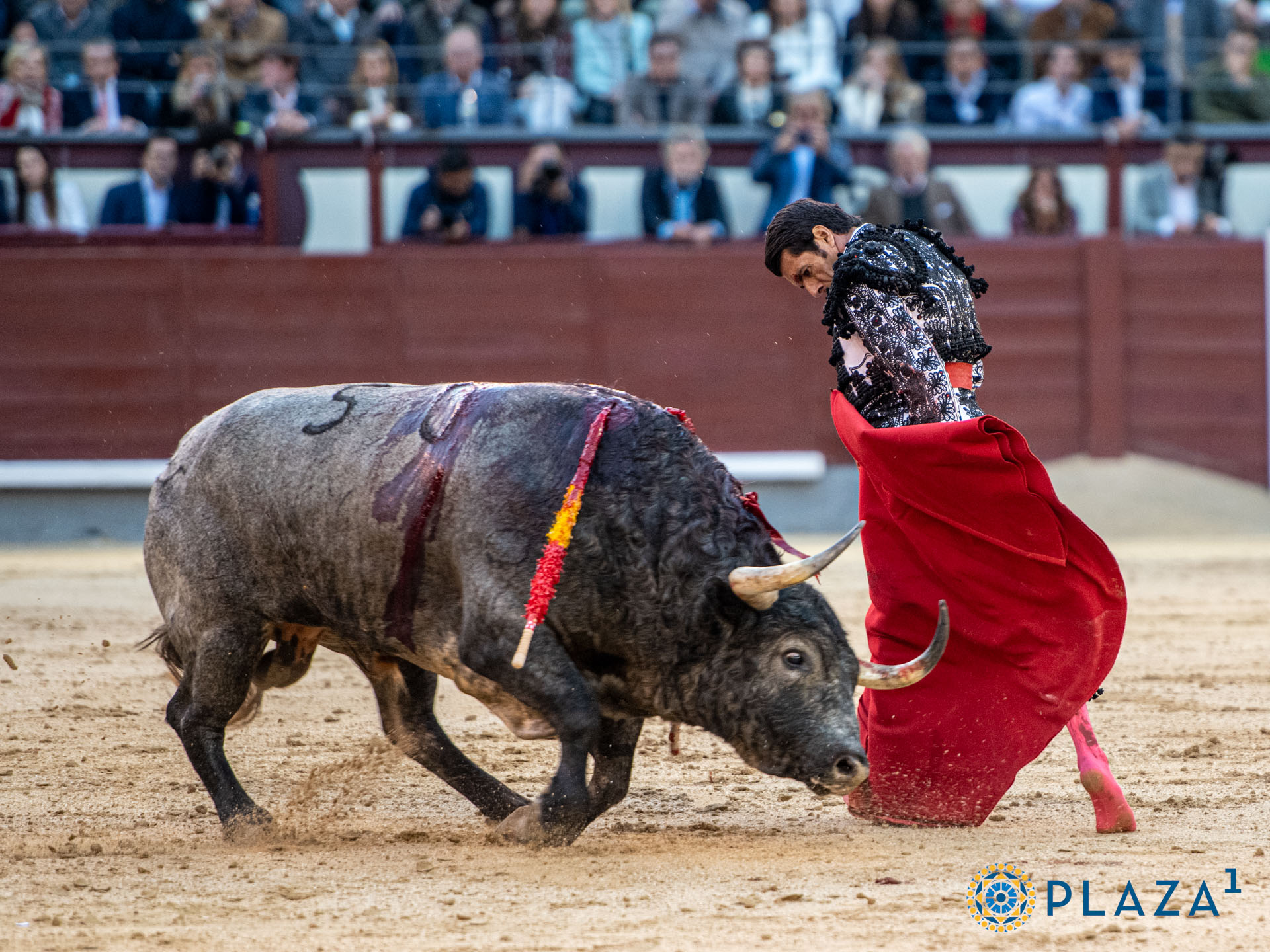 <p><span>Foto: Alfredo Arévalo / Plaza 1</span></p>