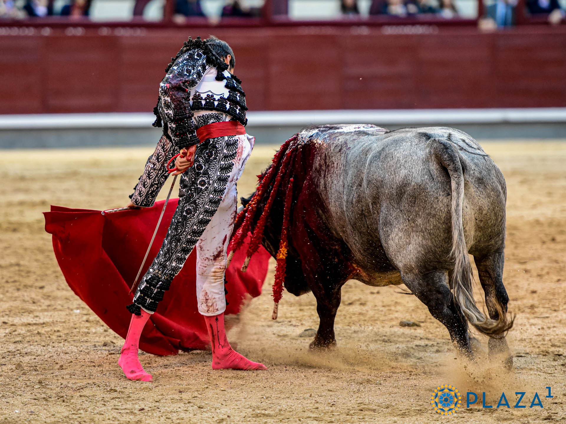 <p><span>Foto: Alfredo Arévalo / Plaza 1</span></p>