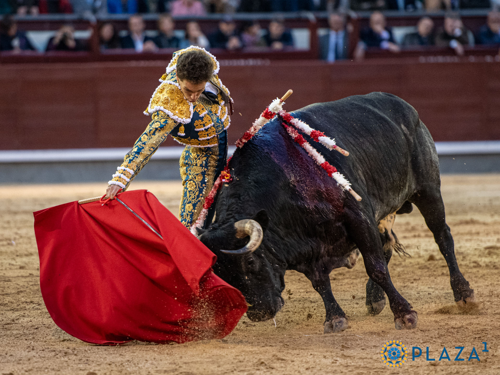 <p><span>Foto: Alfredo Arévalo / Plaza 1</span></p>