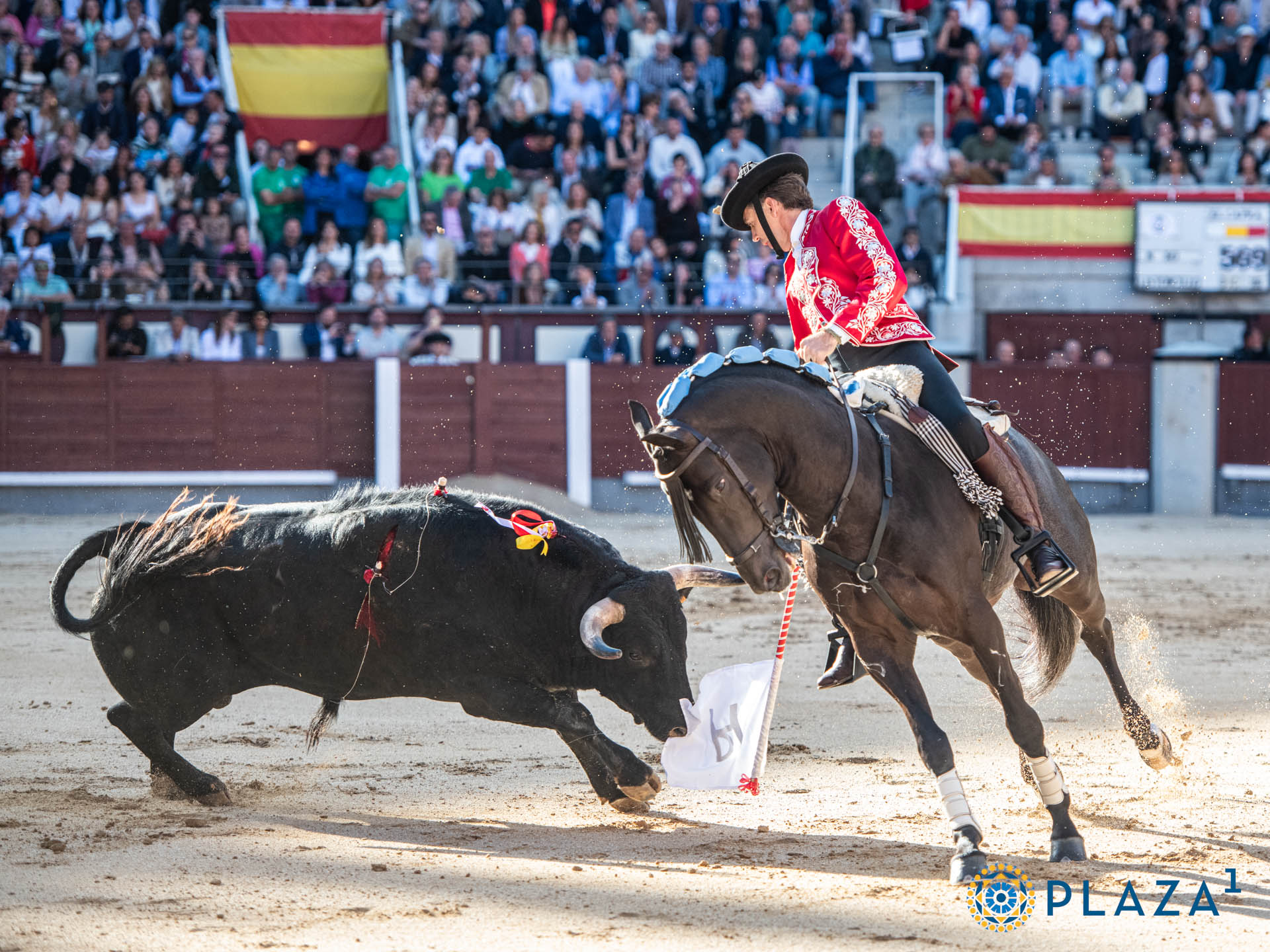 <p>Foto: Alfredo Arévalo / Plaza 1</p>