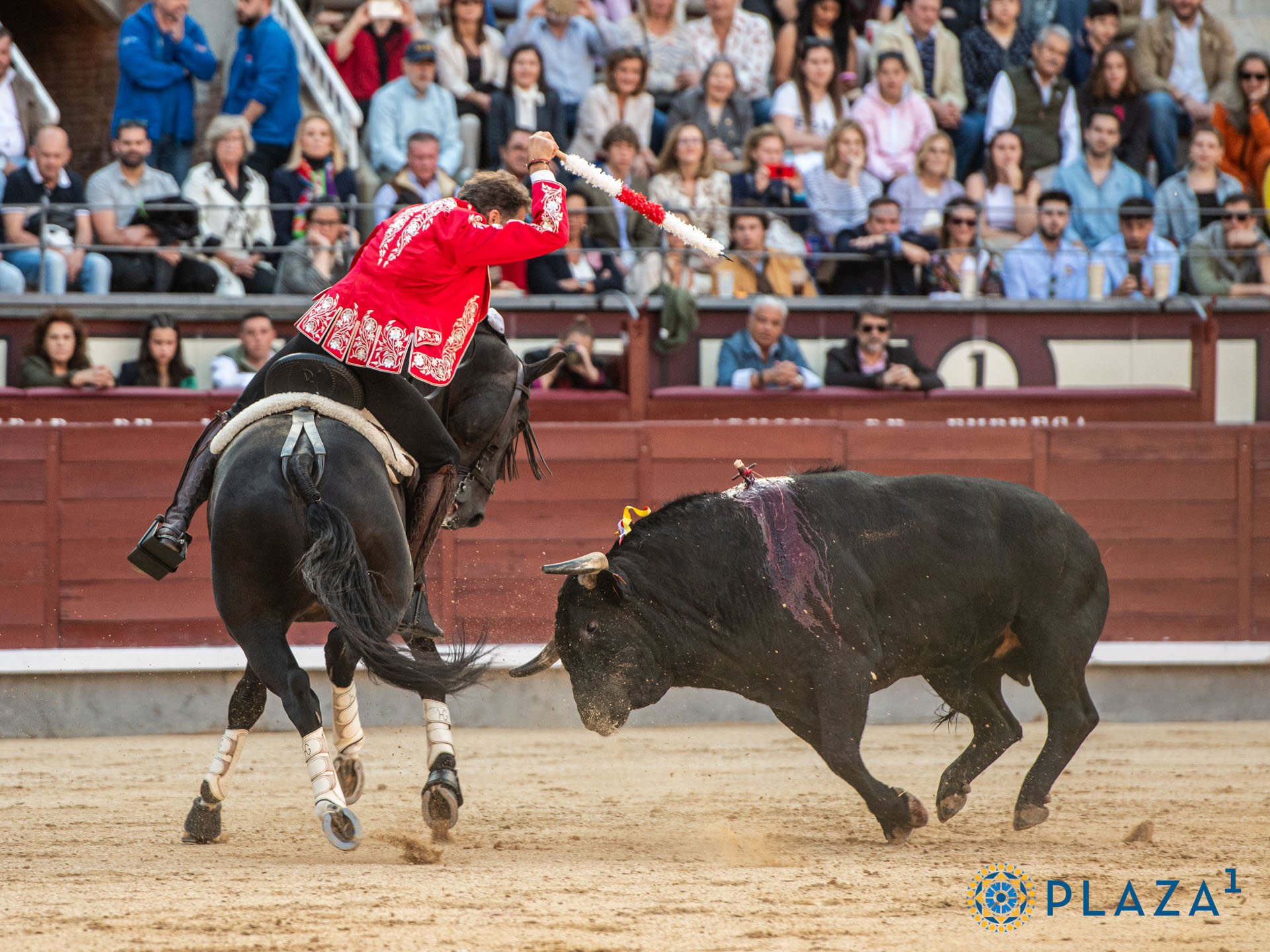 <p>Foto: Alfredo Arévalo / Plaza 1</p>