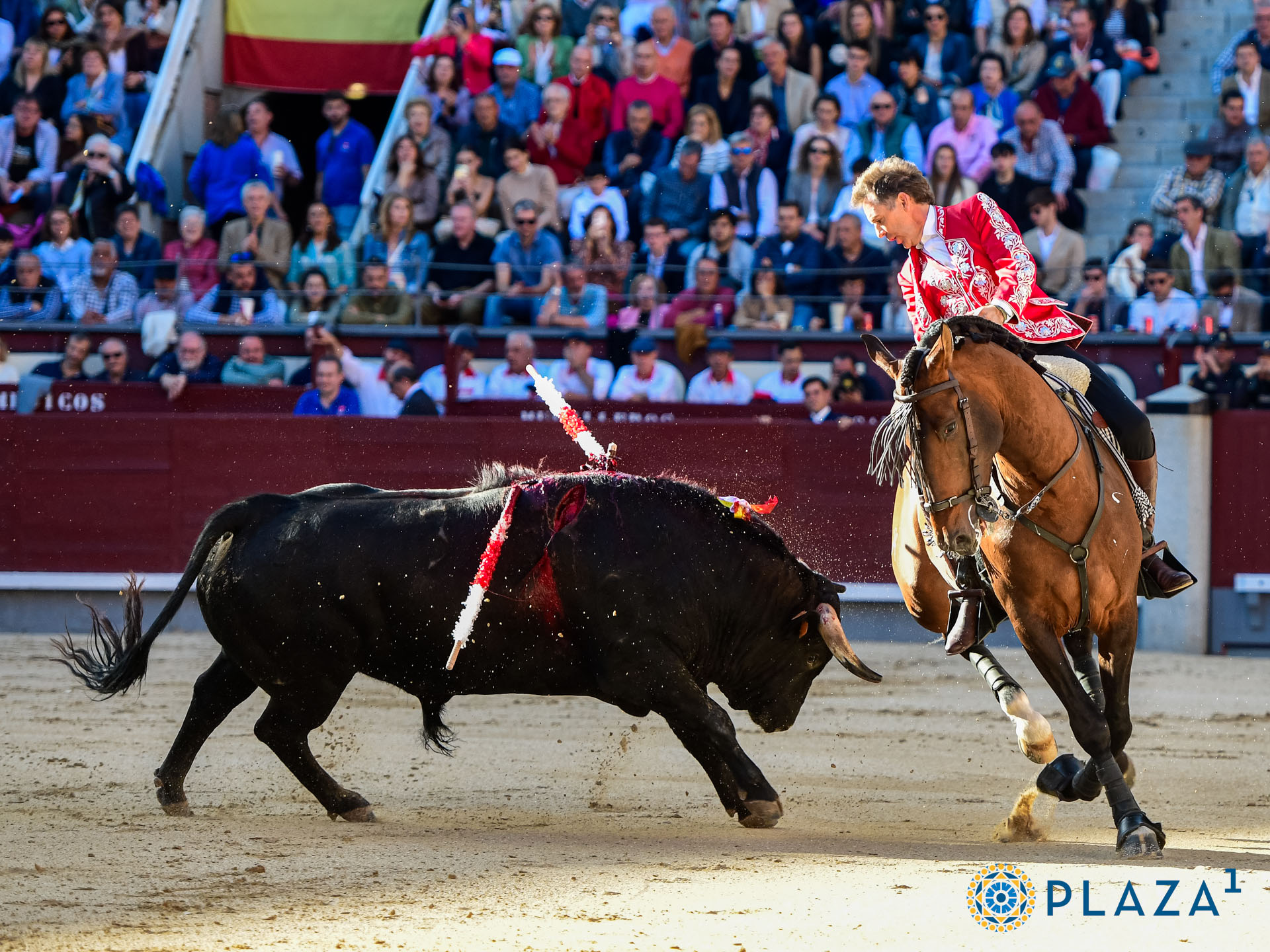 <p>Foto: Alfredo Arévalo / Plaza 1</p>