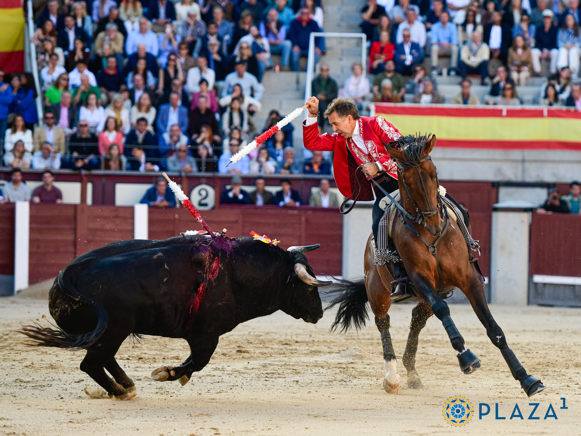 <p>Foto: Alfredo Arévalo / Plaza 1</p>