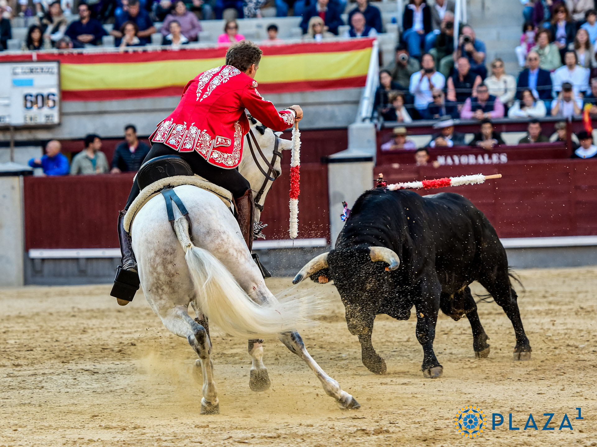 <p>Foto: Alfredo Arévalo / Plaza 1</p>