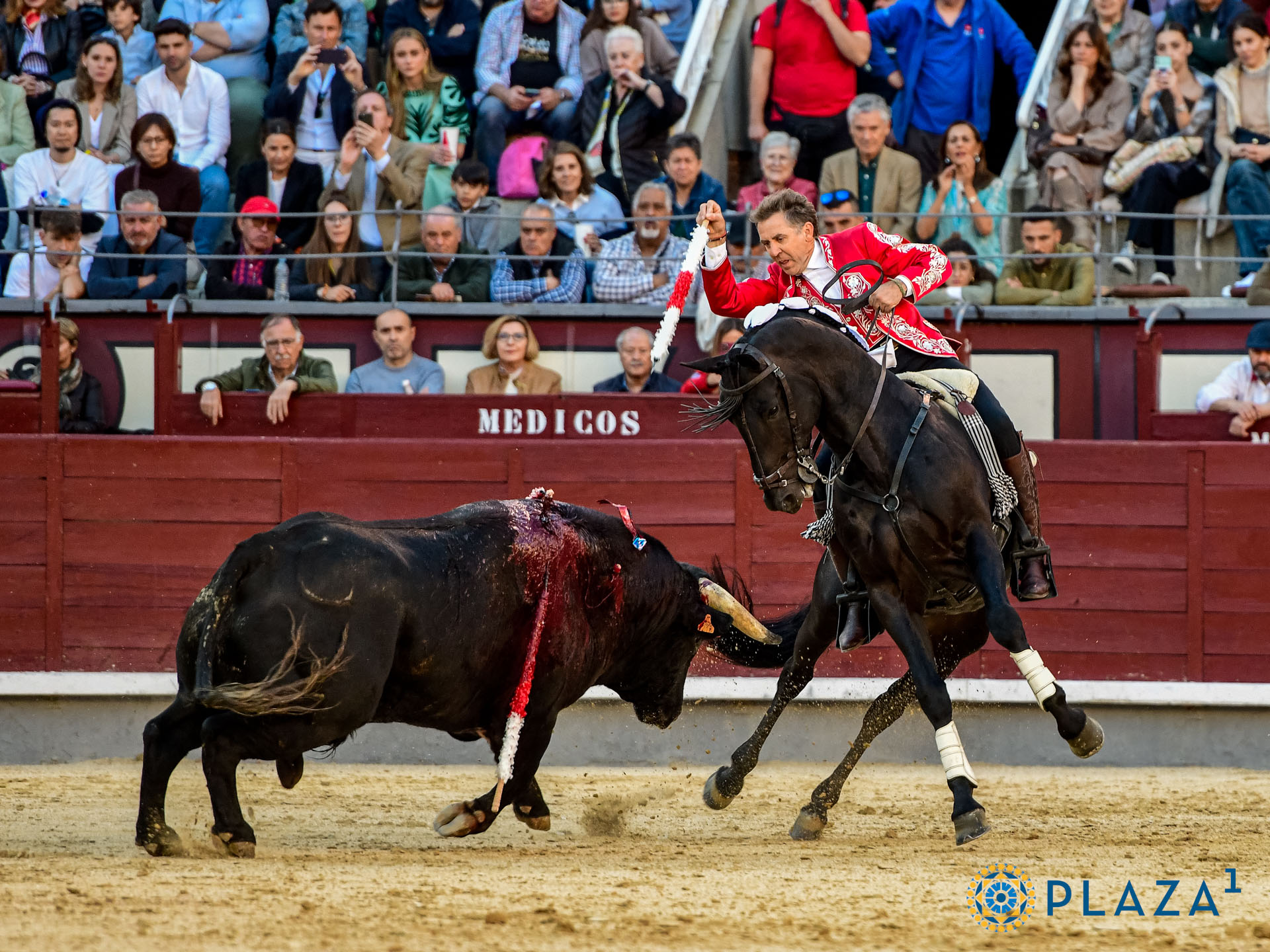<p>Foto: Alfredo Arévalo / Plaza 1</p>