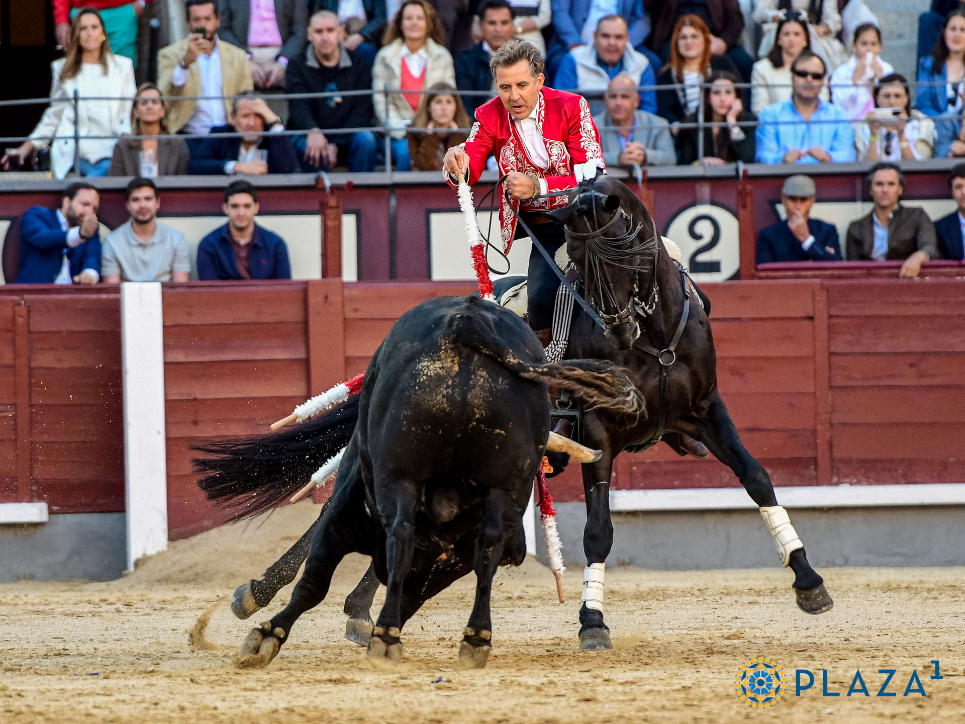 <p>Foto: Alfredo Arévalo / Plaza 1</p>