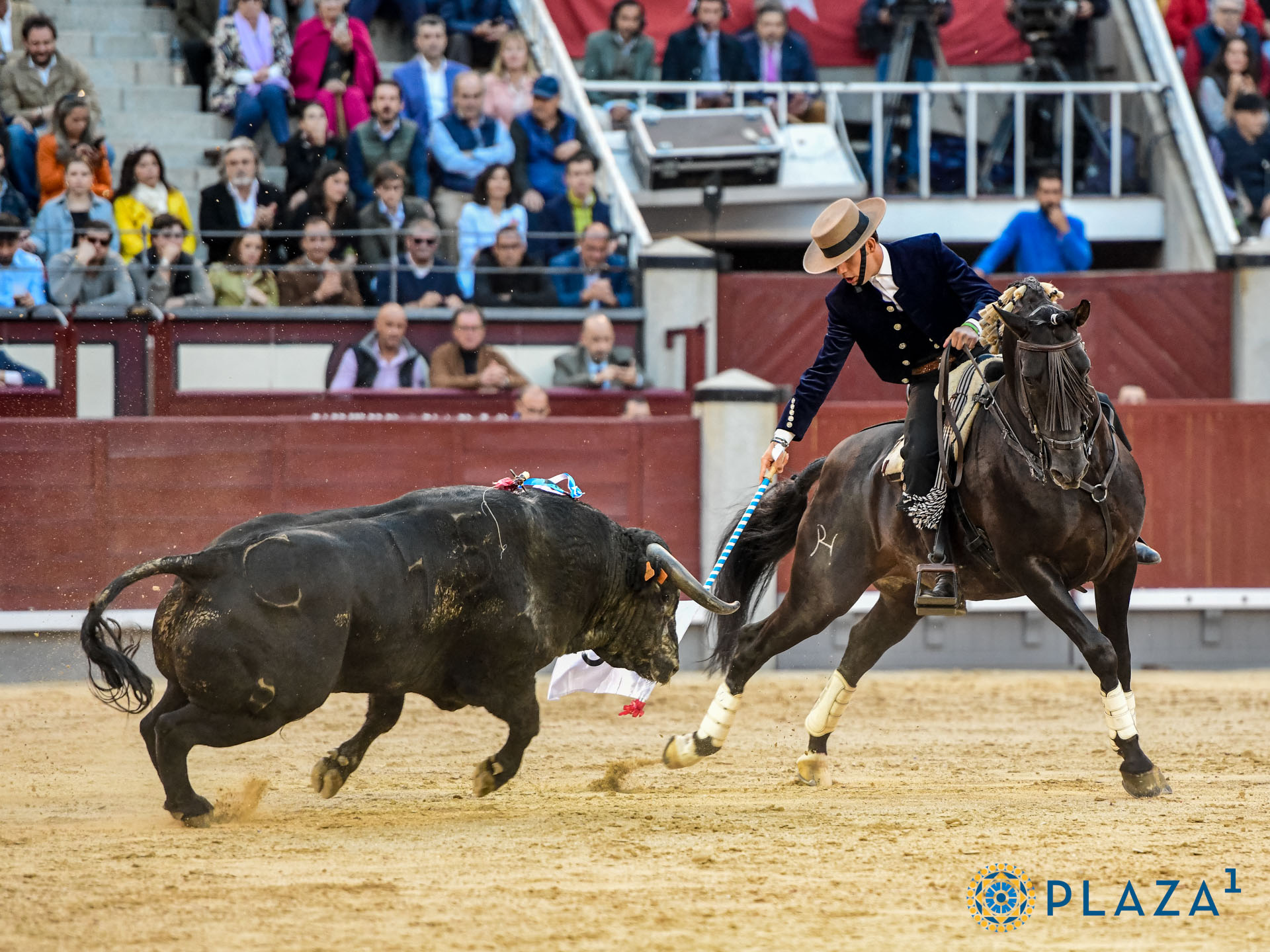 <p>Foto: Alfredo Arévalo / Plaza 1</p>
