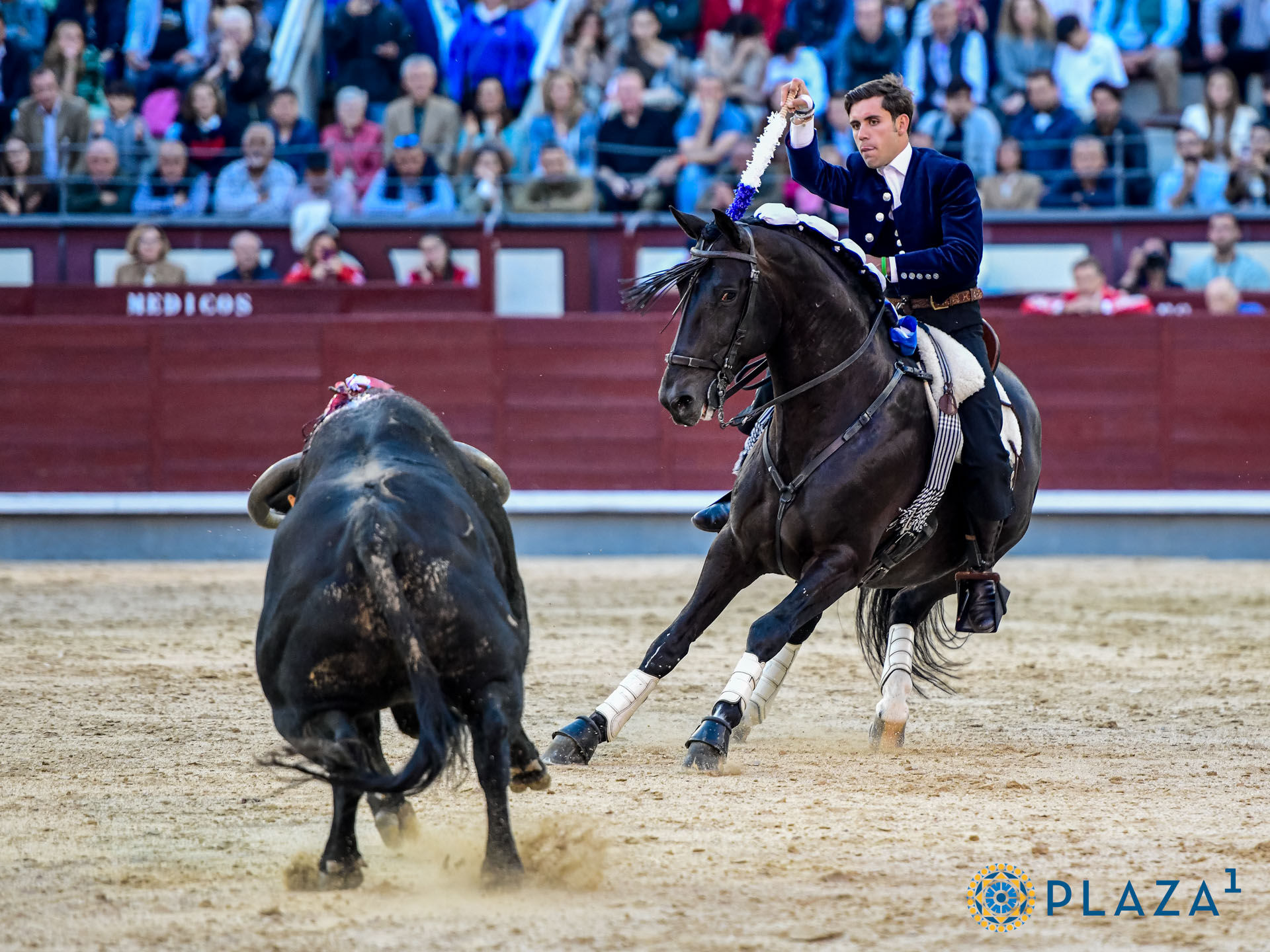 <p>Foto: Alfredo Arévalo / Plaza 1</p>