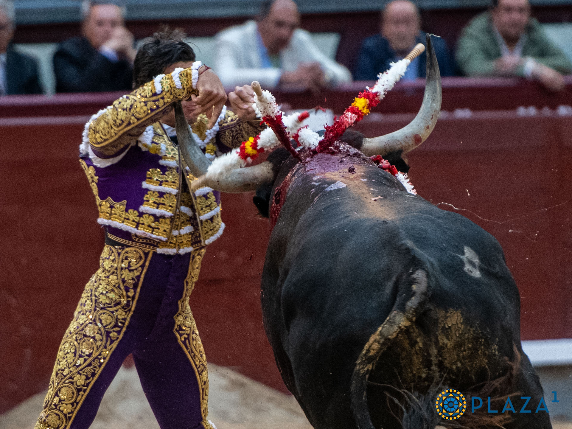 <p><span>Foto: Alfredo Arévalo / Plaza 1</span></p>