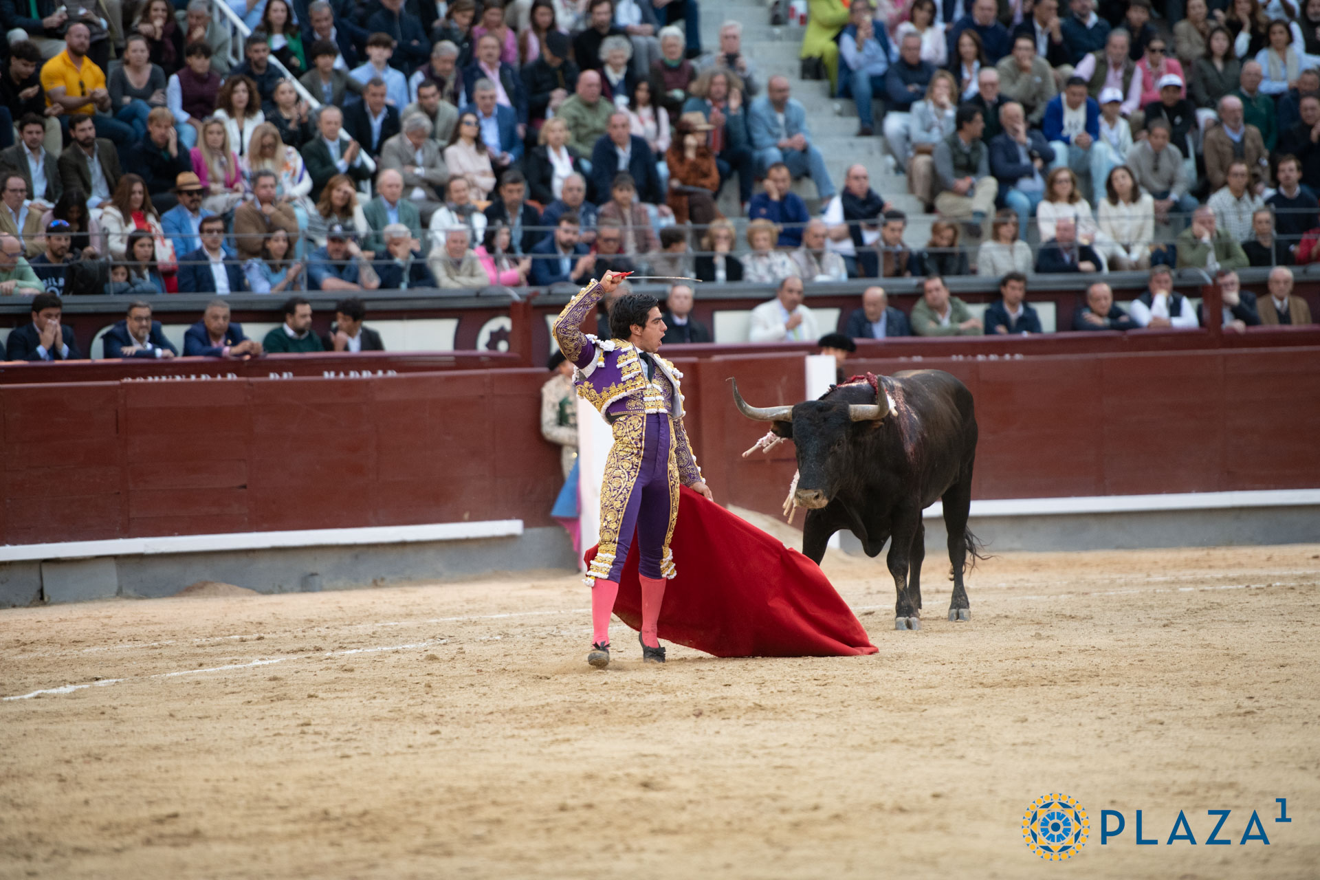 <p><span>Foto: Alfredo Arévalo / Plaza 1</span></p>